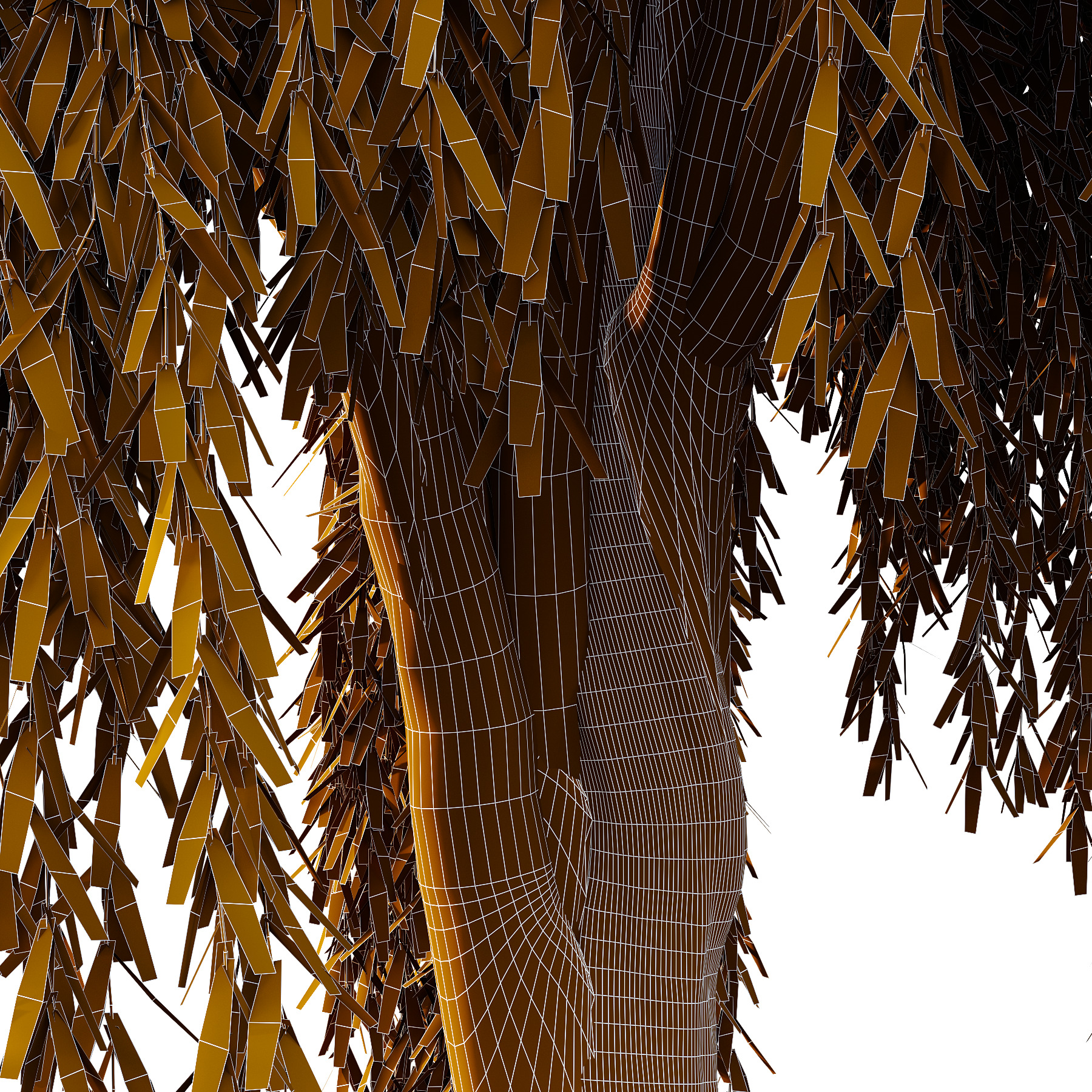Weeping Willow Tree 03 3D model_3