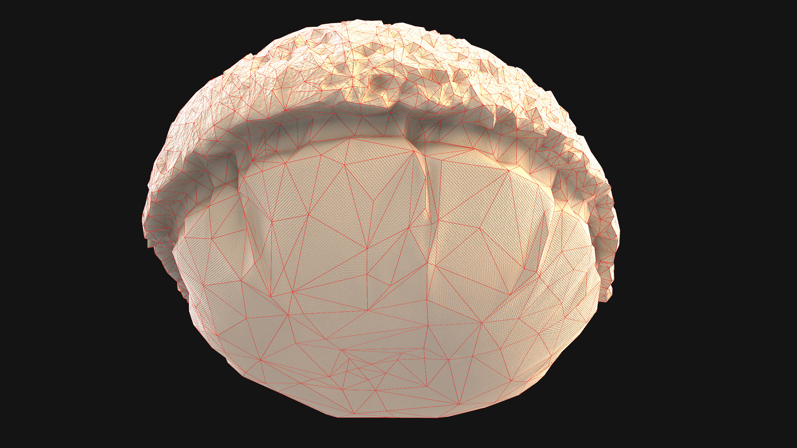 Bed for Animals Dog Cat Rodent Hamster Rat Pet Pack Low-poly 3D model_57