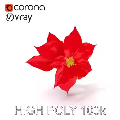 Poinsettia D Model Pack