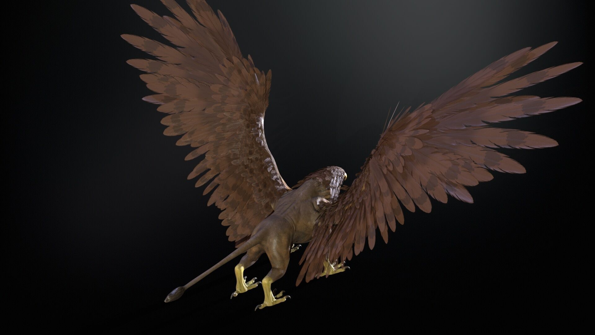 Griffon Low-poly 3D model_12