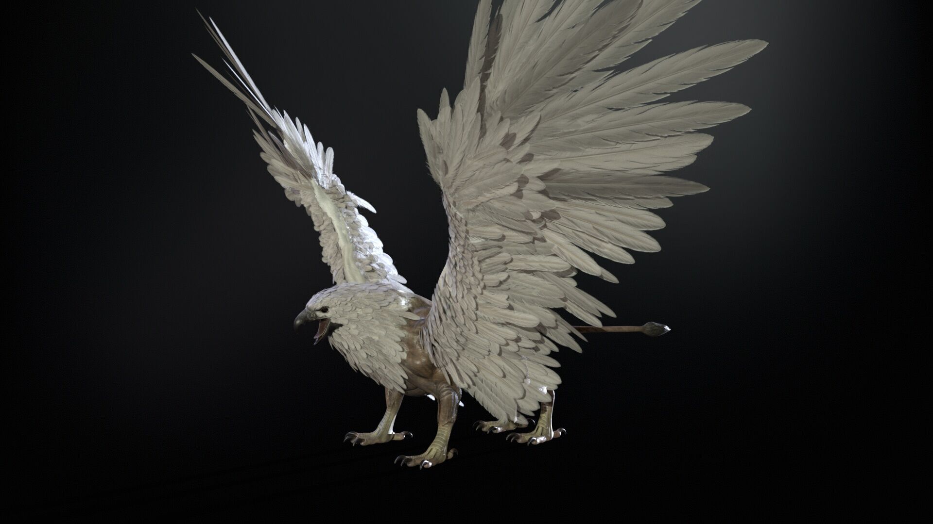 Griffon Low-poly 3D model_8