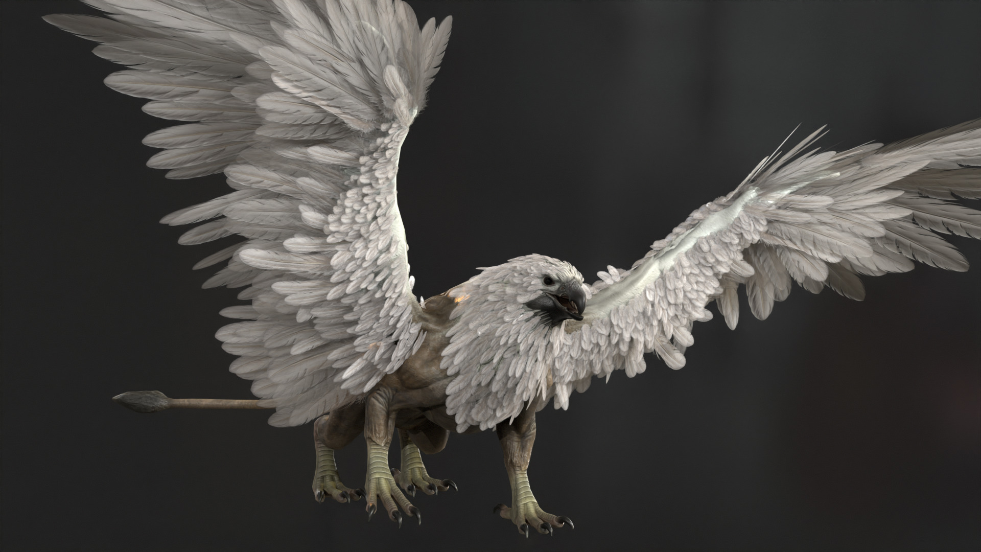 Griffon Low-poly 3D model_21