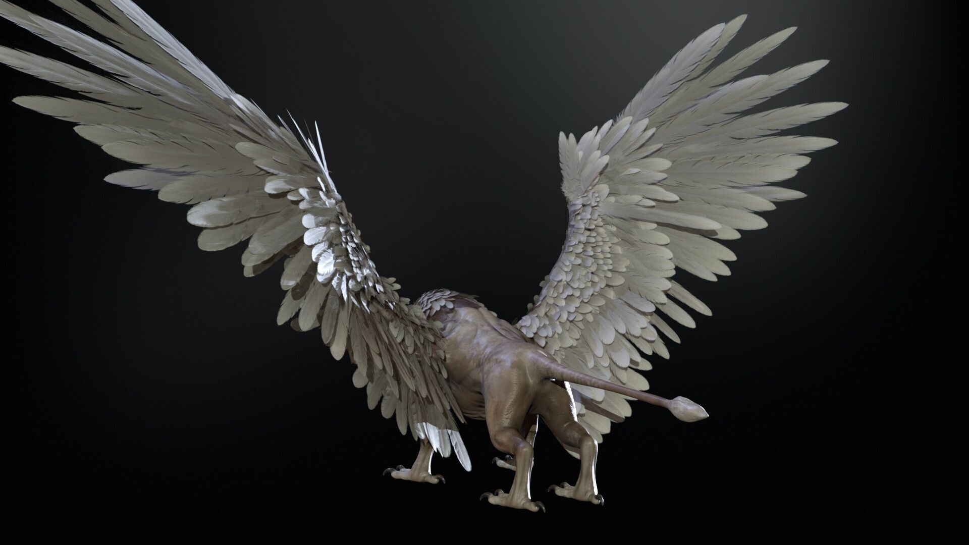 Griffon Low-poly 3D model_16