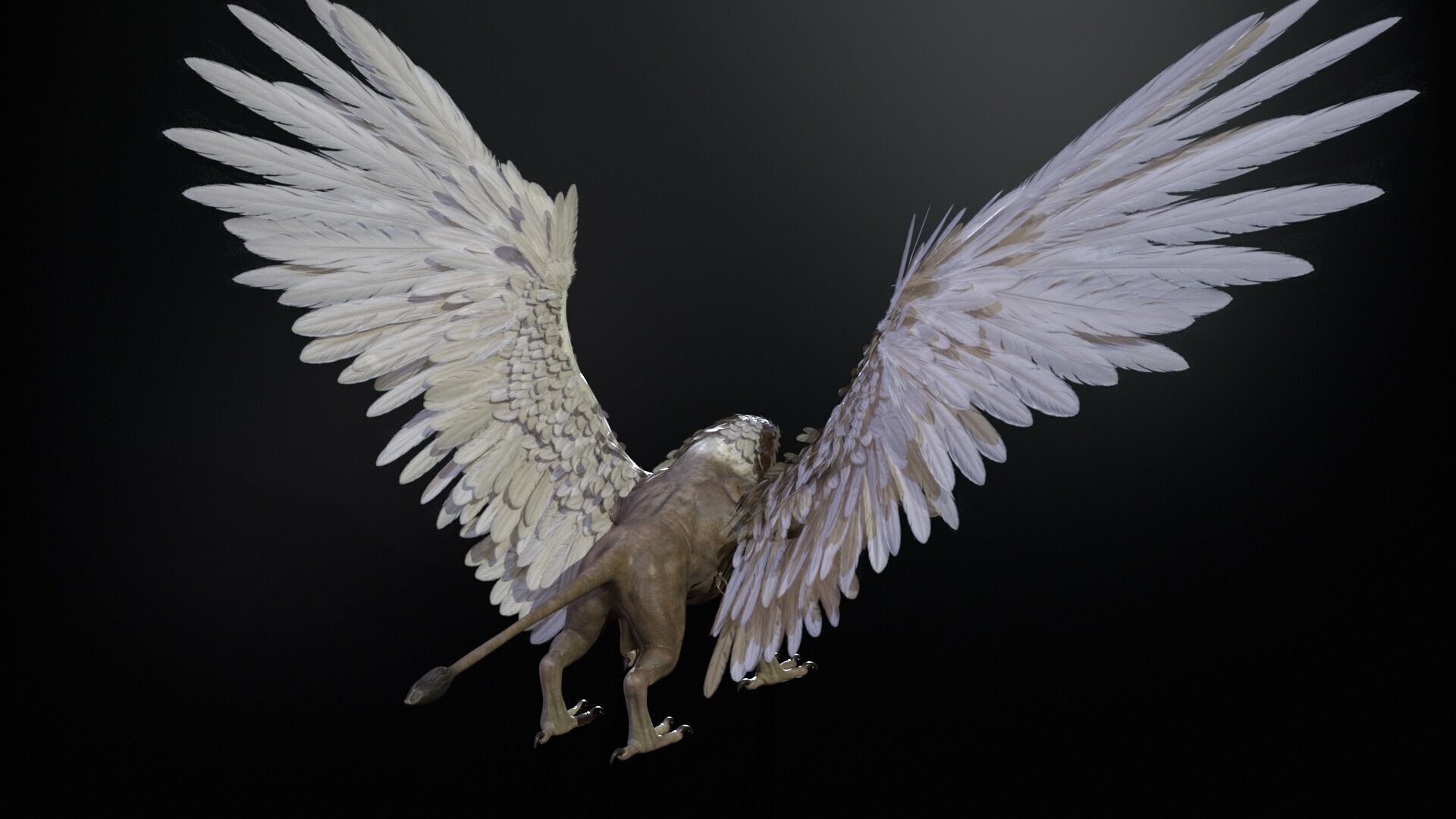 Griffon Low-poly 3D model_7