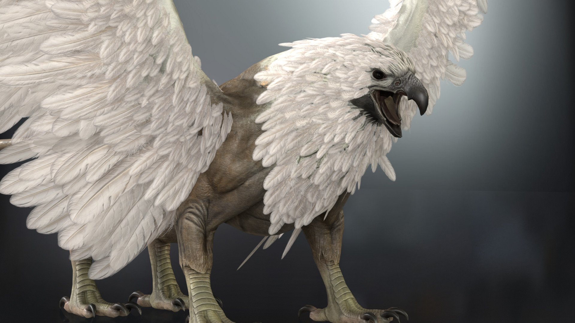 Griffon Low-poly 3D model_24