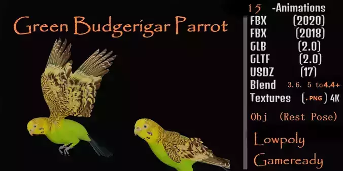 Budgerigar Parrot Bird Low-poly 3D model