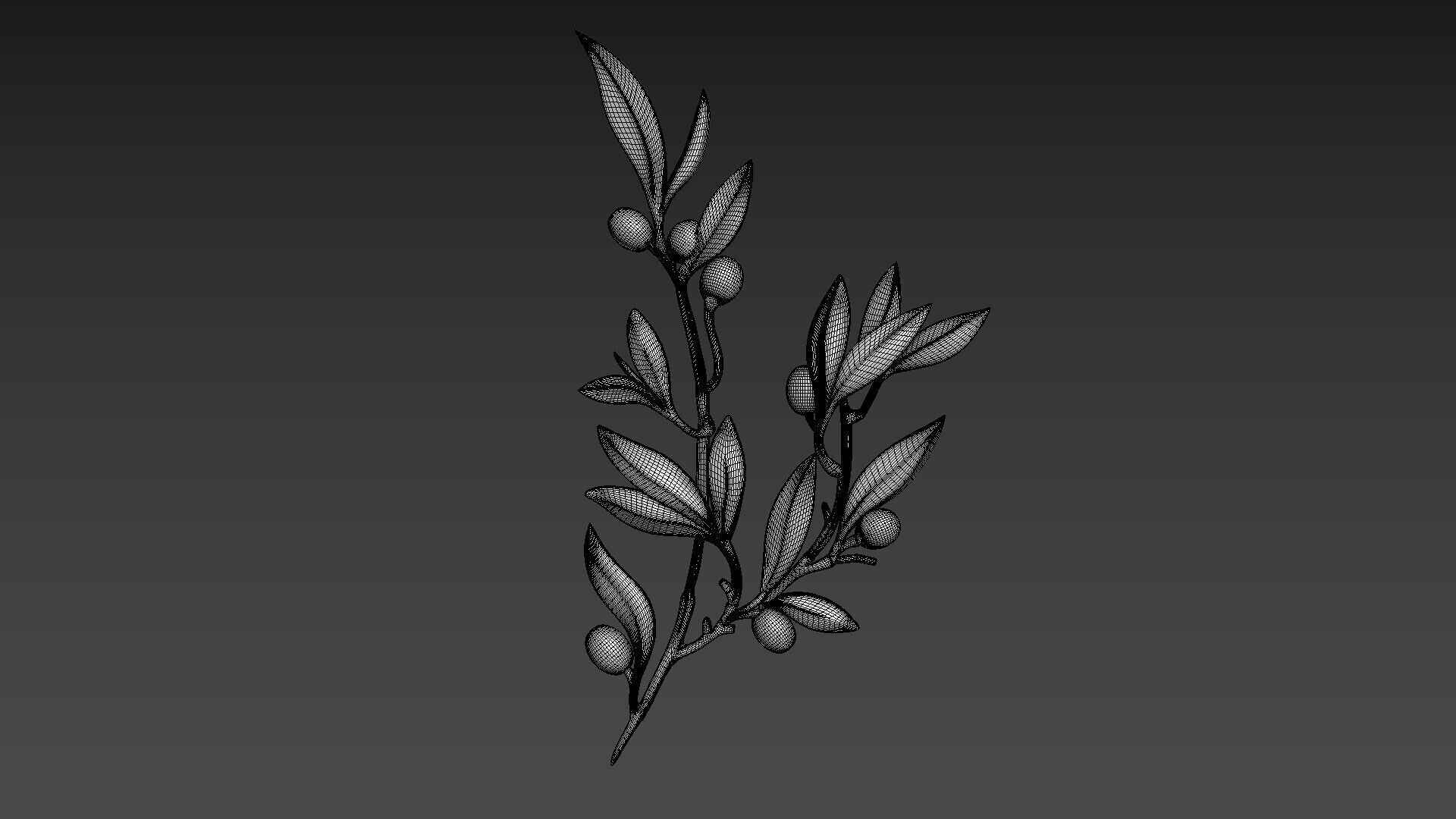 Olive branch relief 3D model_9
