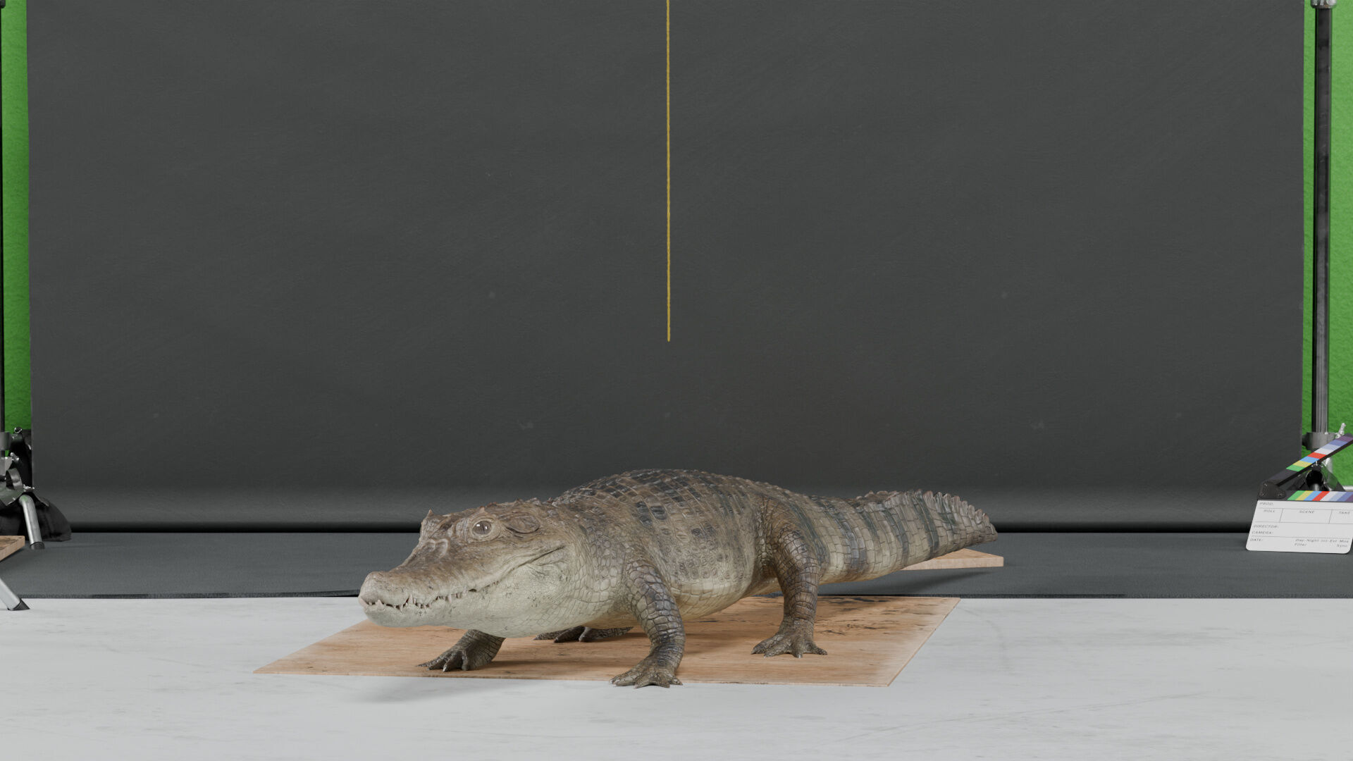 Spectacled Caiman - rigged 3D model_2