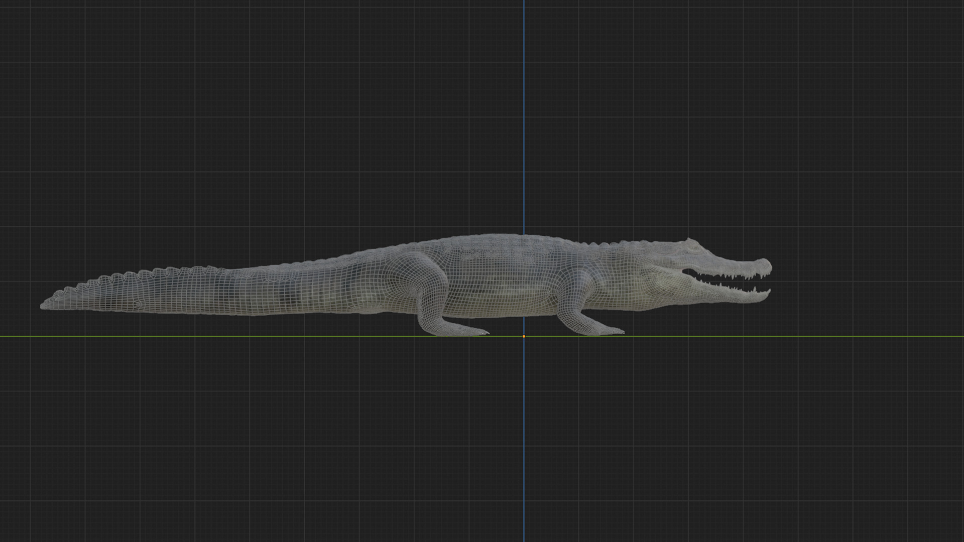 Spectacled Caiman - rigged 3D model_4