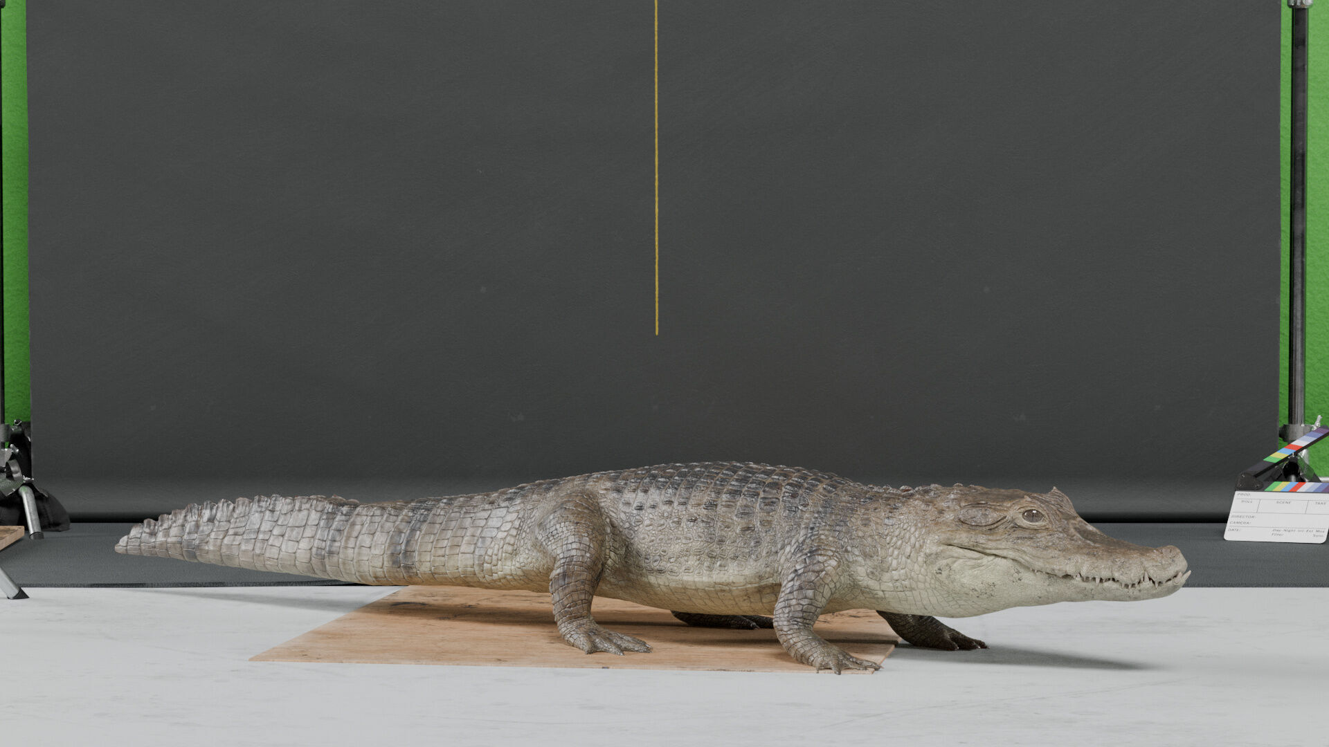 Spectacled Caiman - rigged 3D model_3