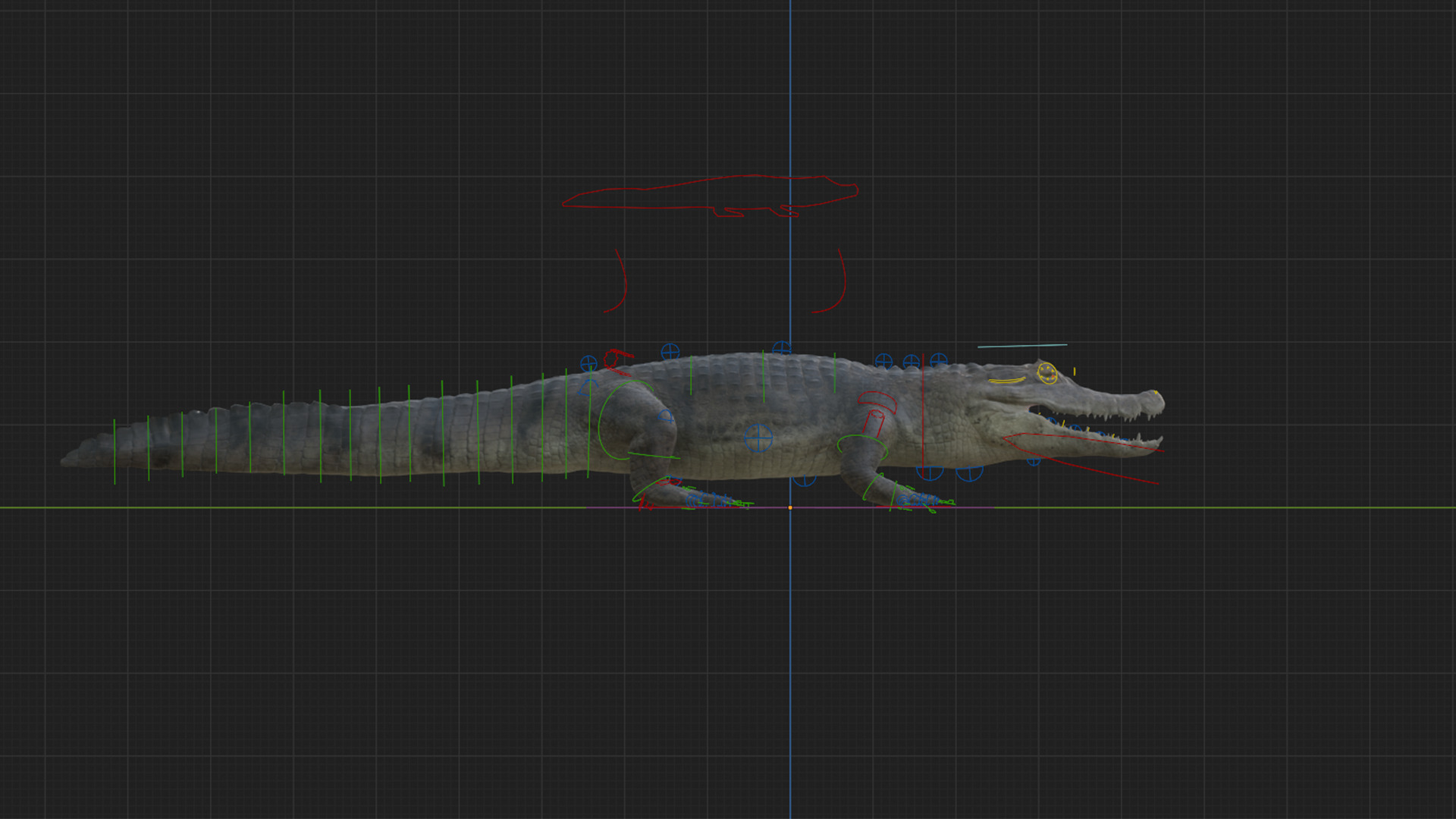 Spectacled Caiman - rigged 3D model_5