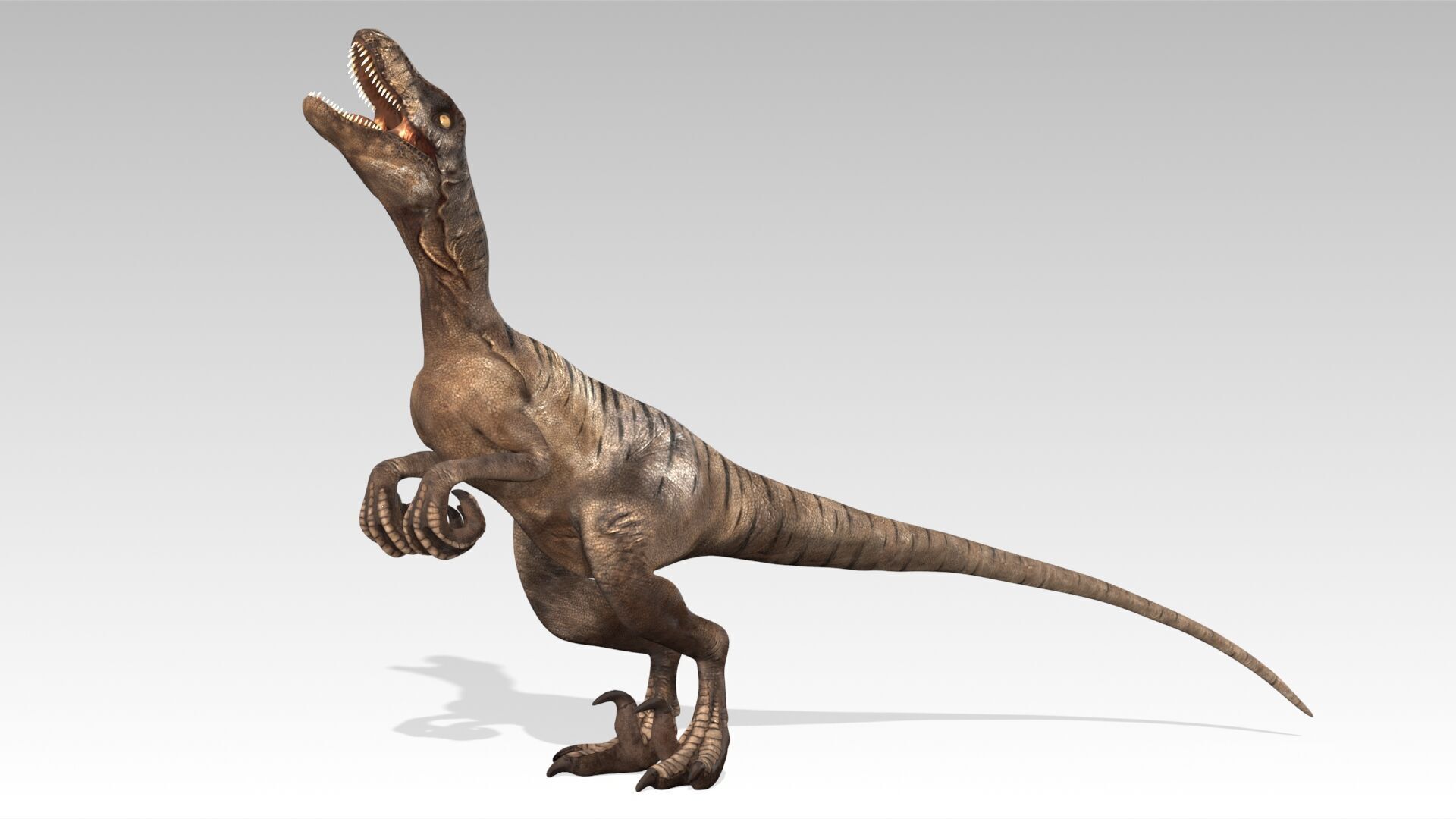 Velociraptor Low-poly 3D model_7