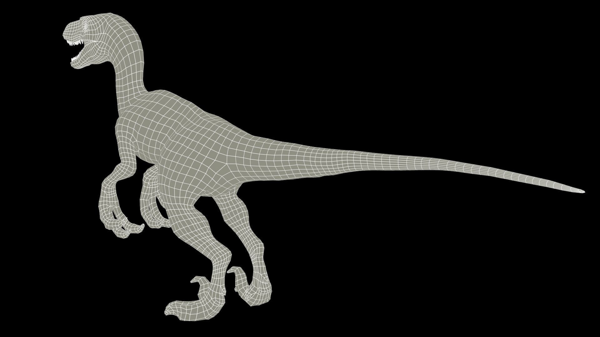 Velociraptor Low-poly 3D model_14