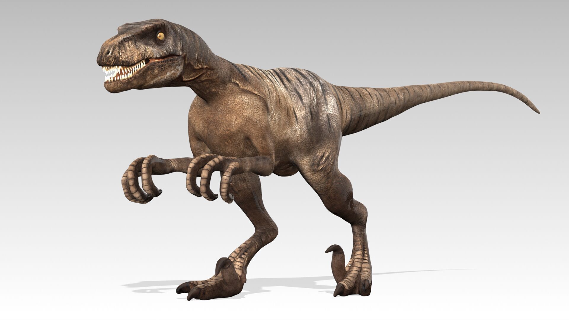 Velociraptor Low-poly 3D model_6