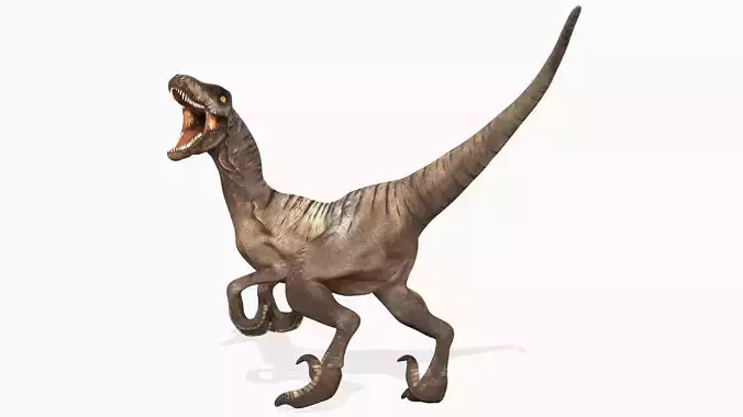 Velociraptor