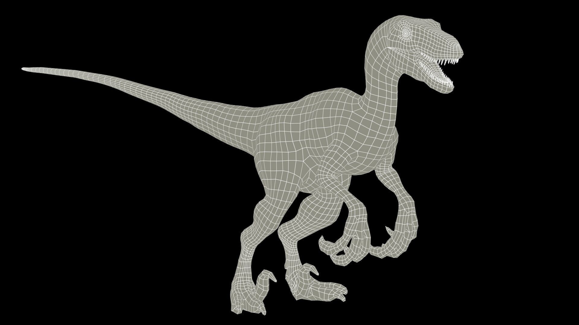 Velociraptor Low-poly 3D model_13