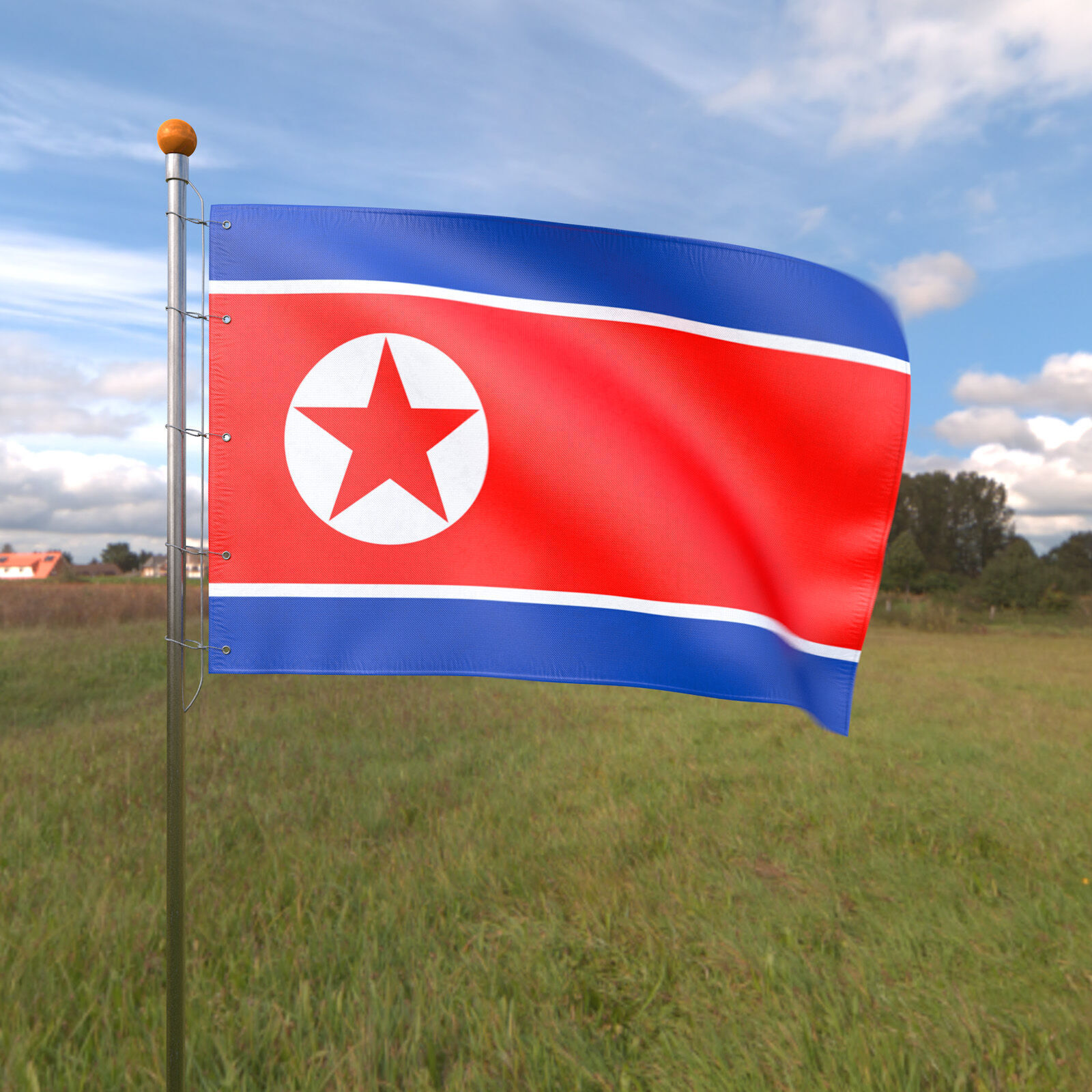 Flag North Korea animated loop 3D model_2