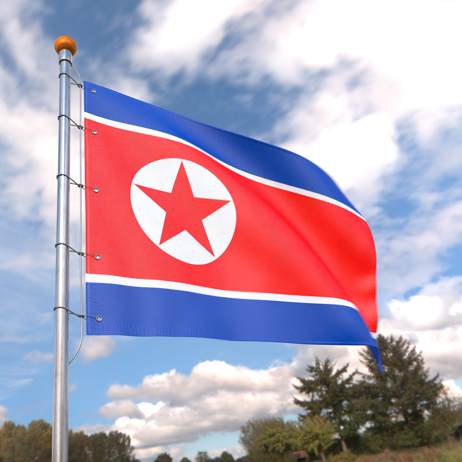Flag North Korea animated loop 3D model_4