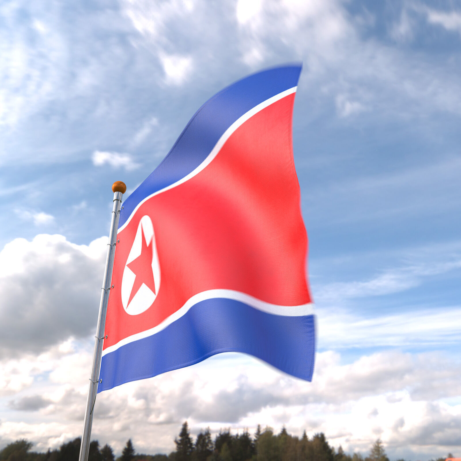 Flag North Korea animated loop 3D model_5