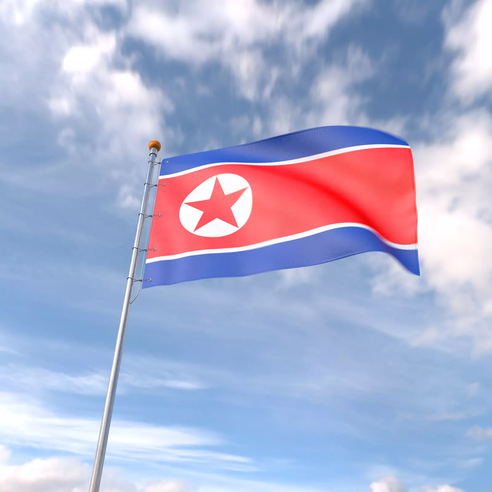 Flag North Korea animated loop 3D model_0