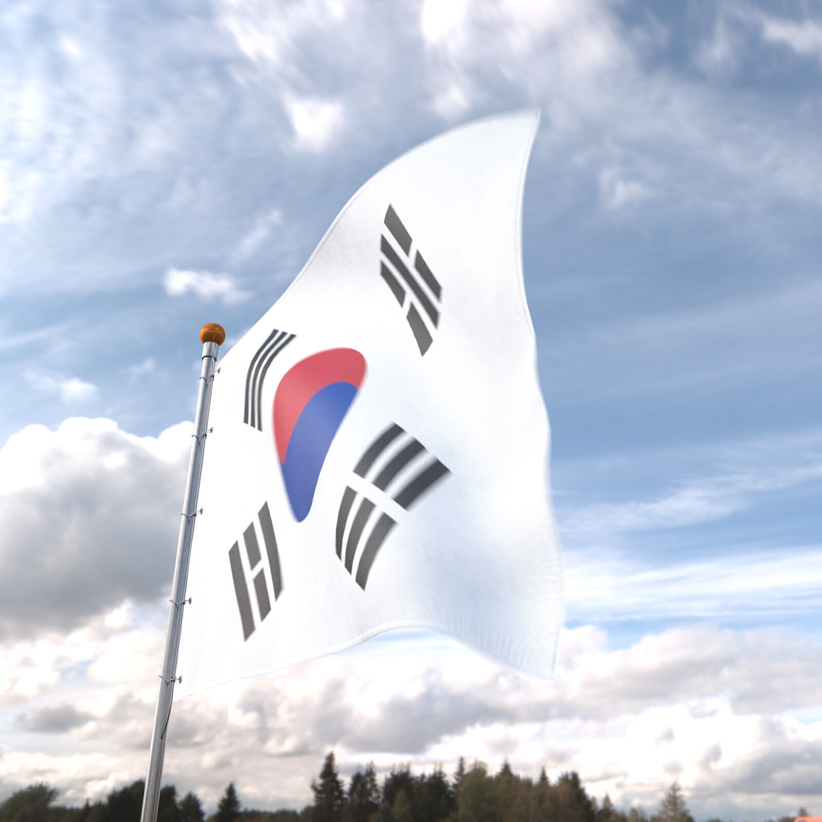 Flag South Korea animated loop 3D model_5