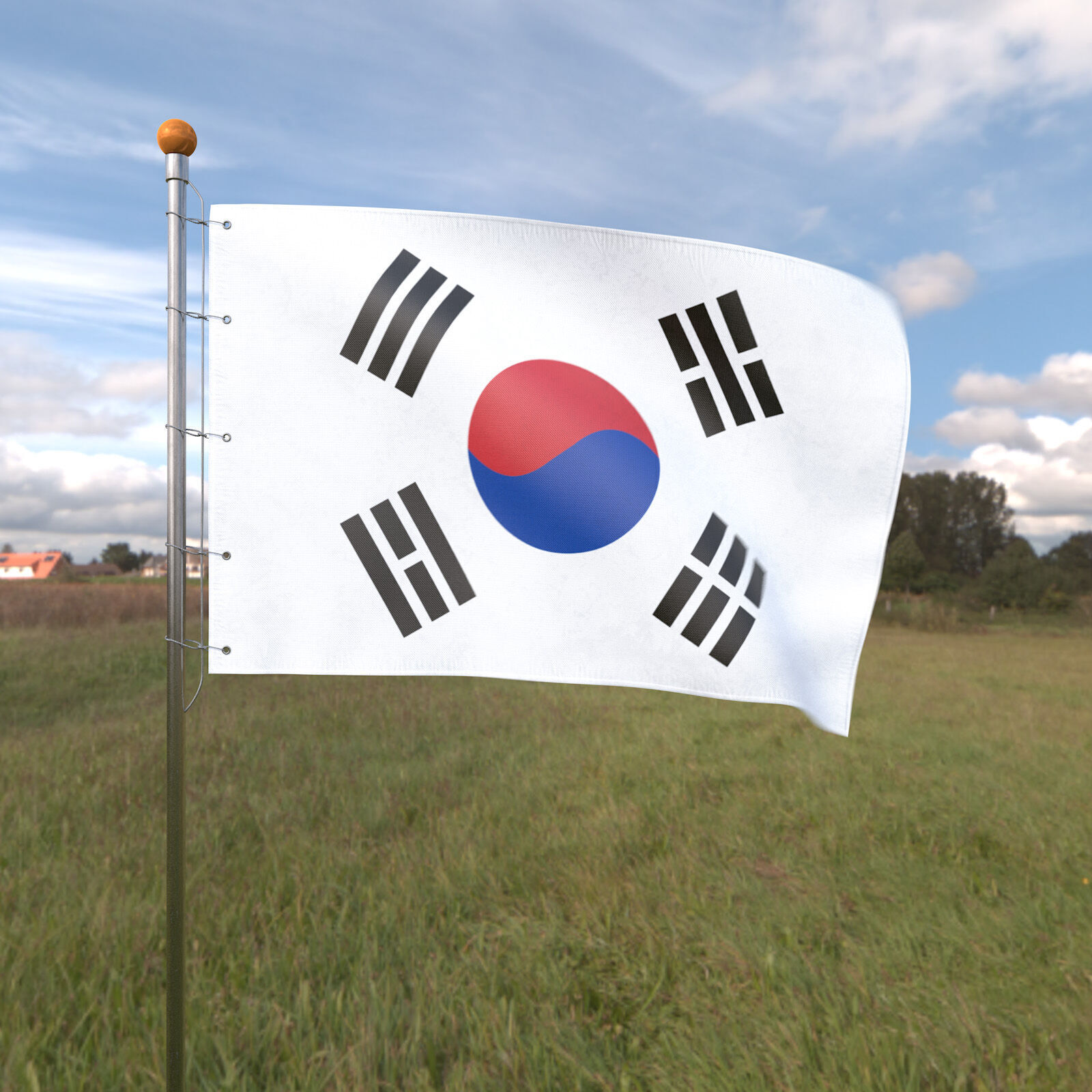 Flag South Korea animated loop 3D model_2
