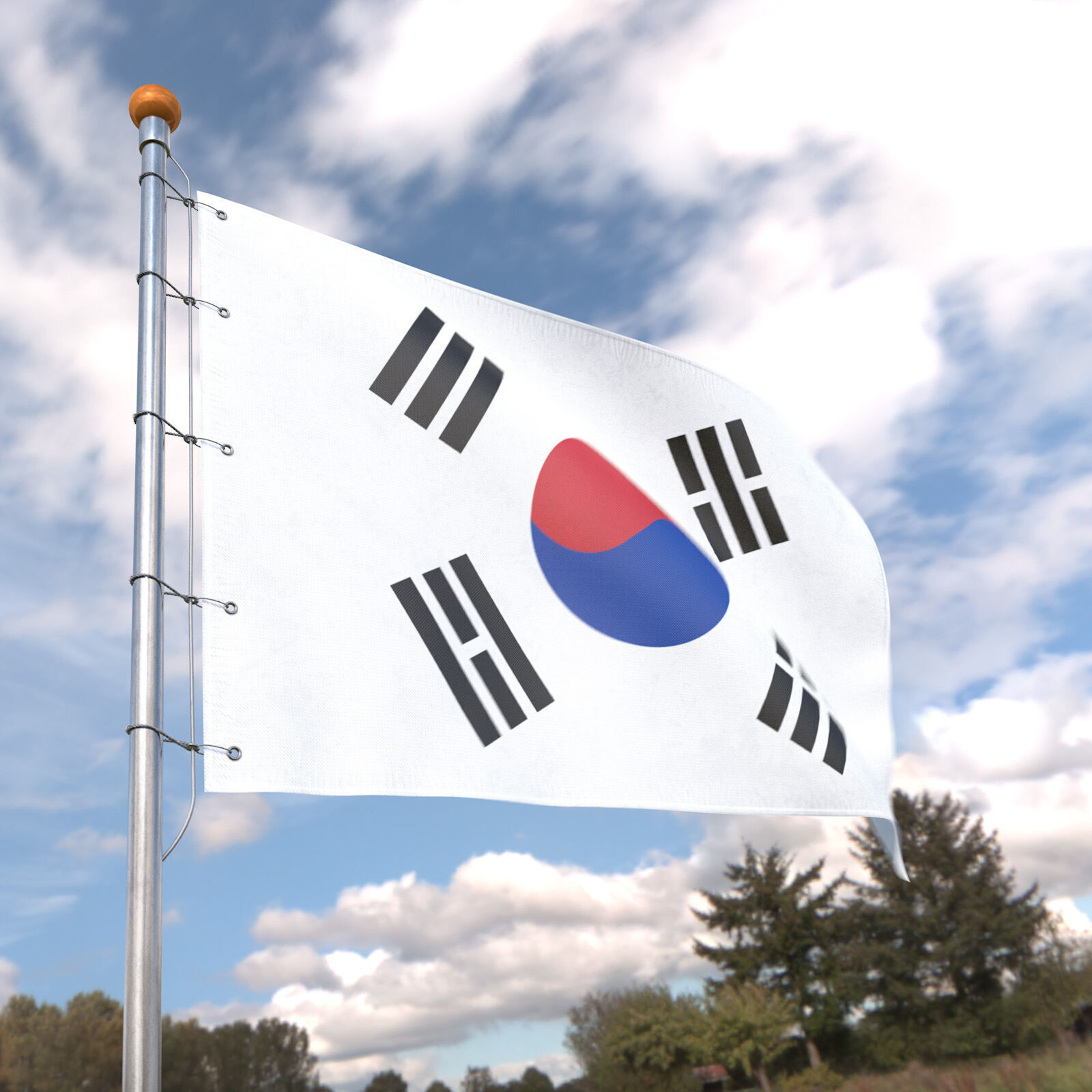 Flag South Korea animated loop 3D model_4