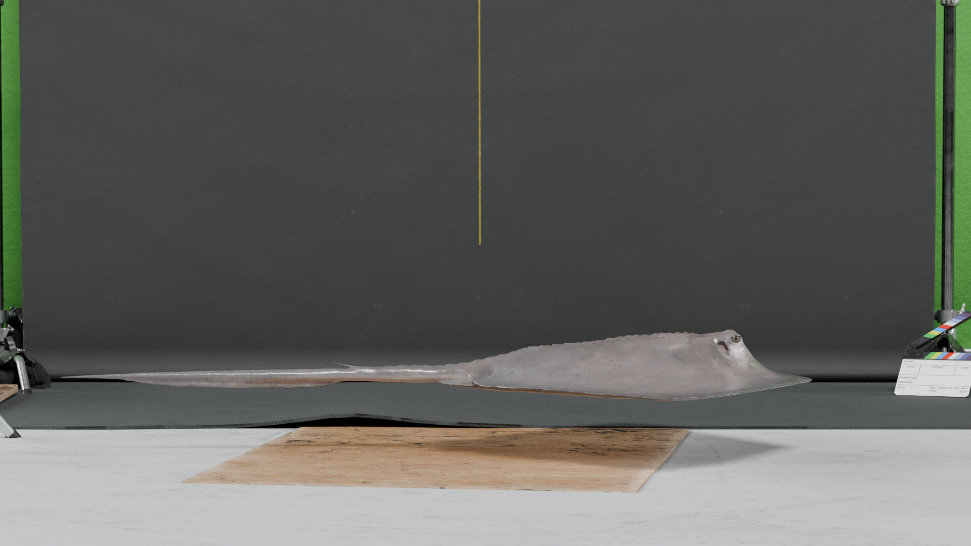 Southern Stingray - static 3D model_3