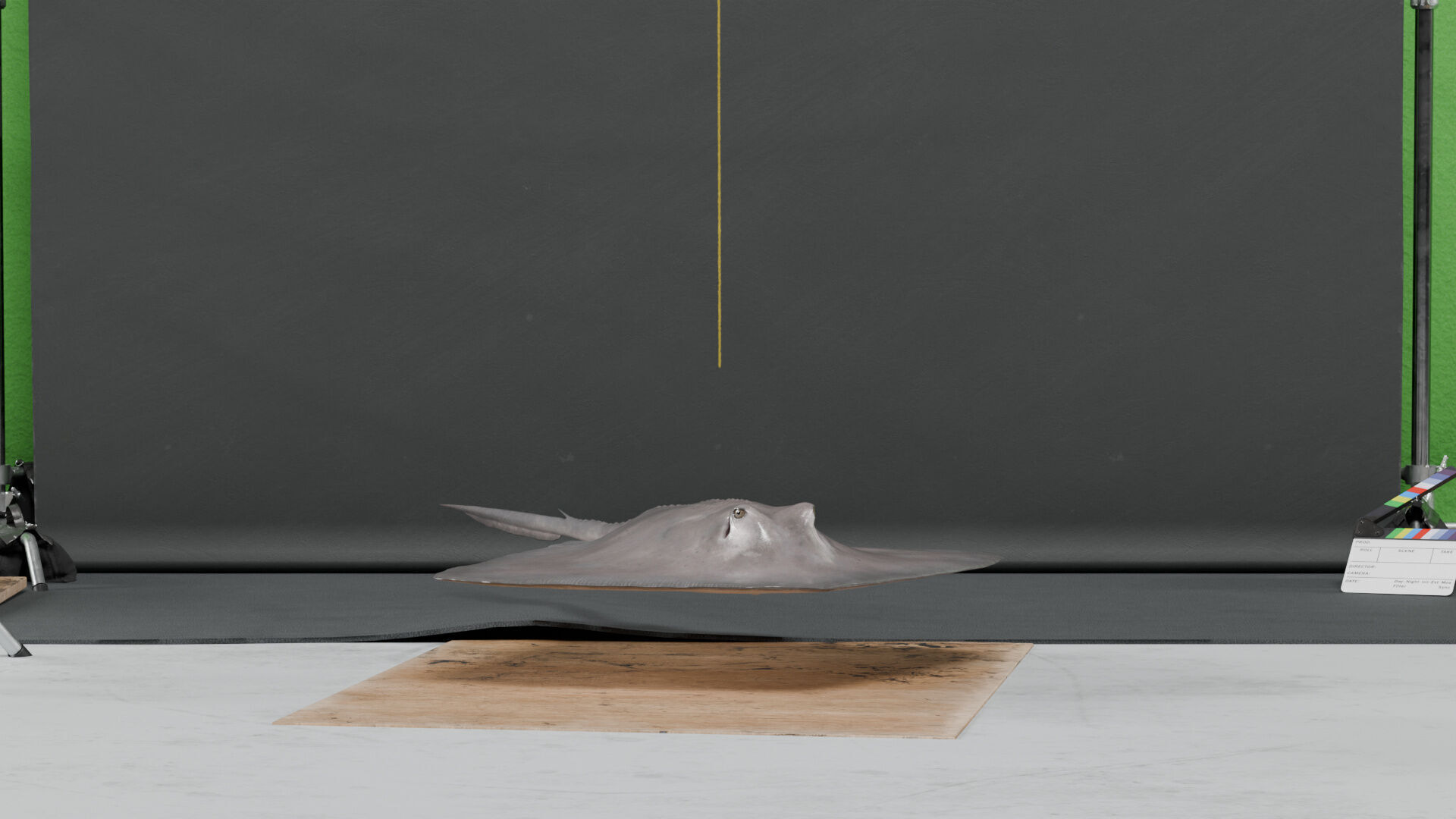 Southern Stingray - static 3D model_2