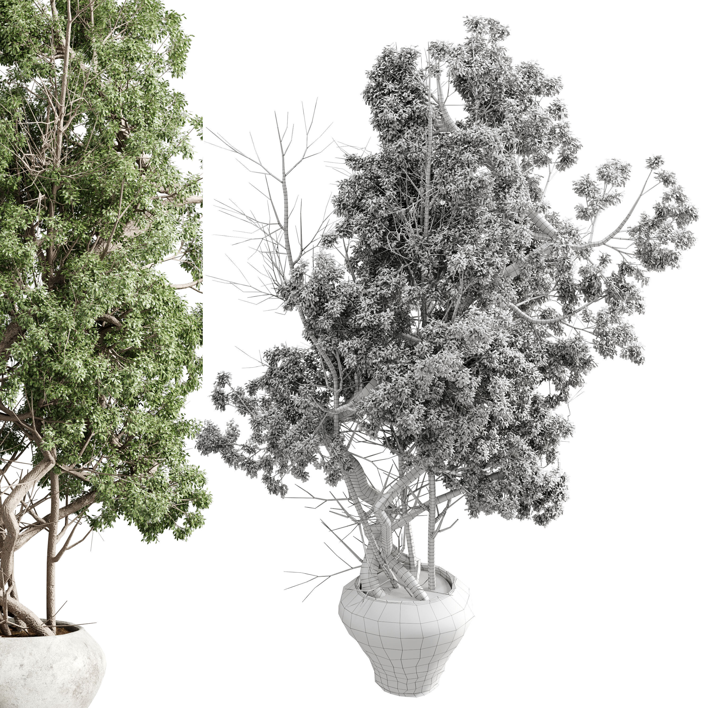 Tree in a concrete pot - set indoor plant 621 3D model_6