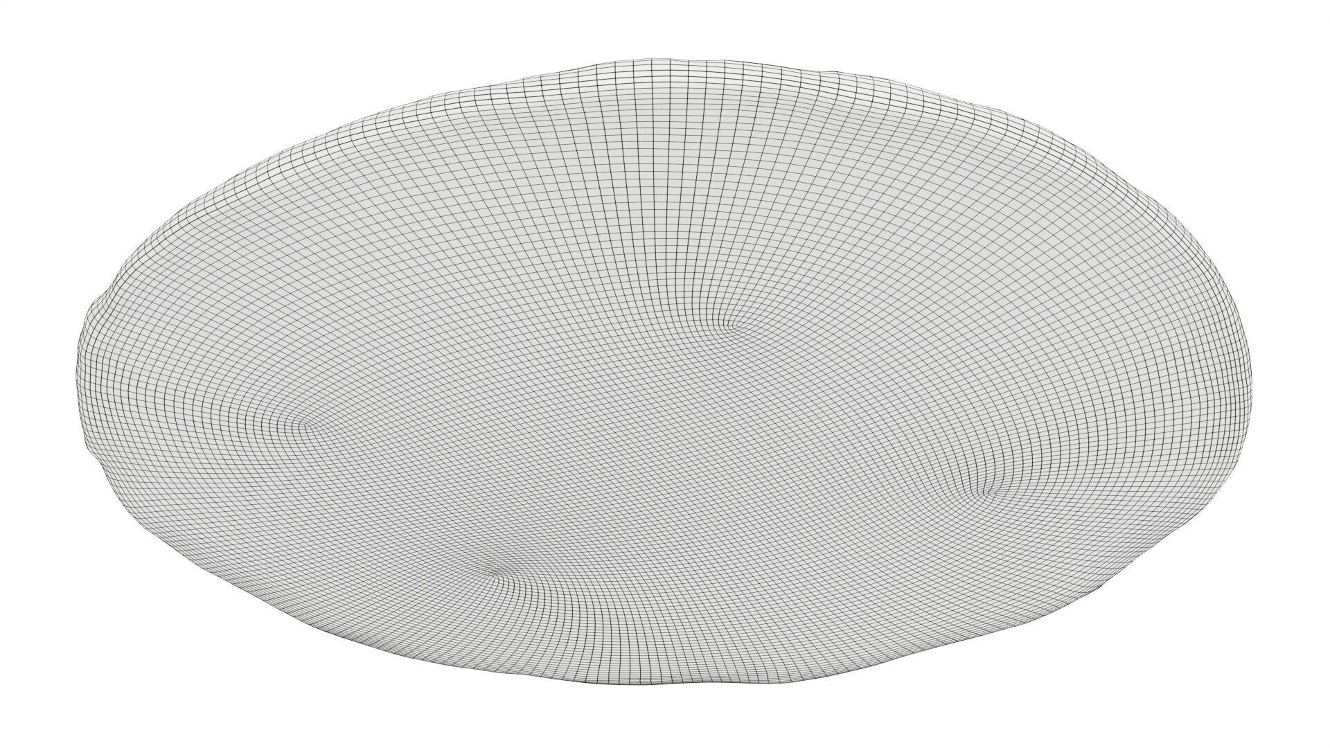 Pizza with salami and jalapeno Low-poly 3D model_7