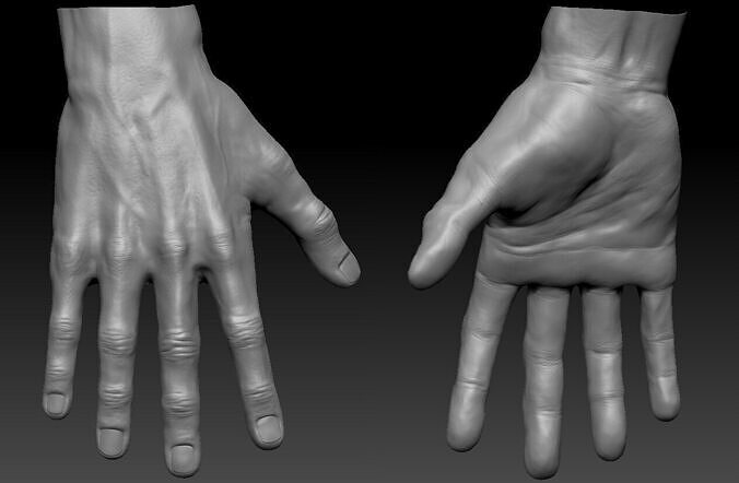 Very detailed Male hand sculpt with multiple subdivision levels