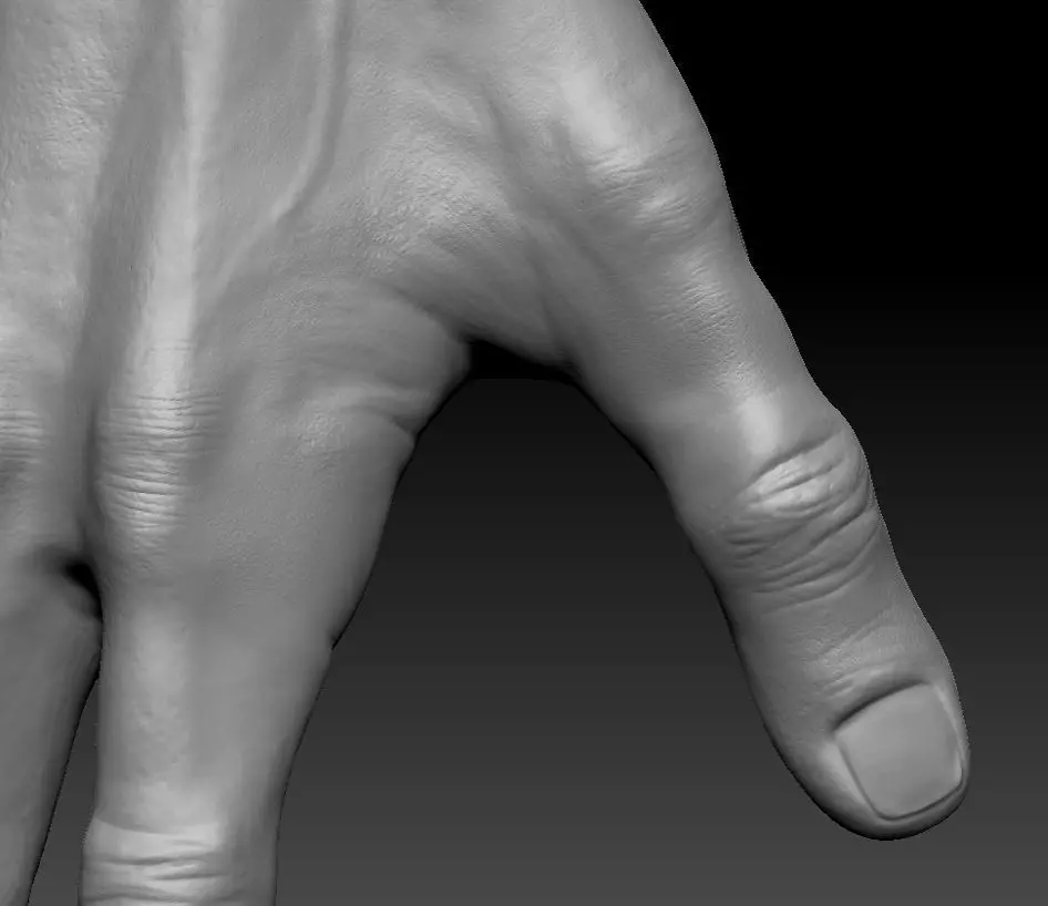 Very detailed Male hand sculpt with multiple subdivision levels 3D model_3