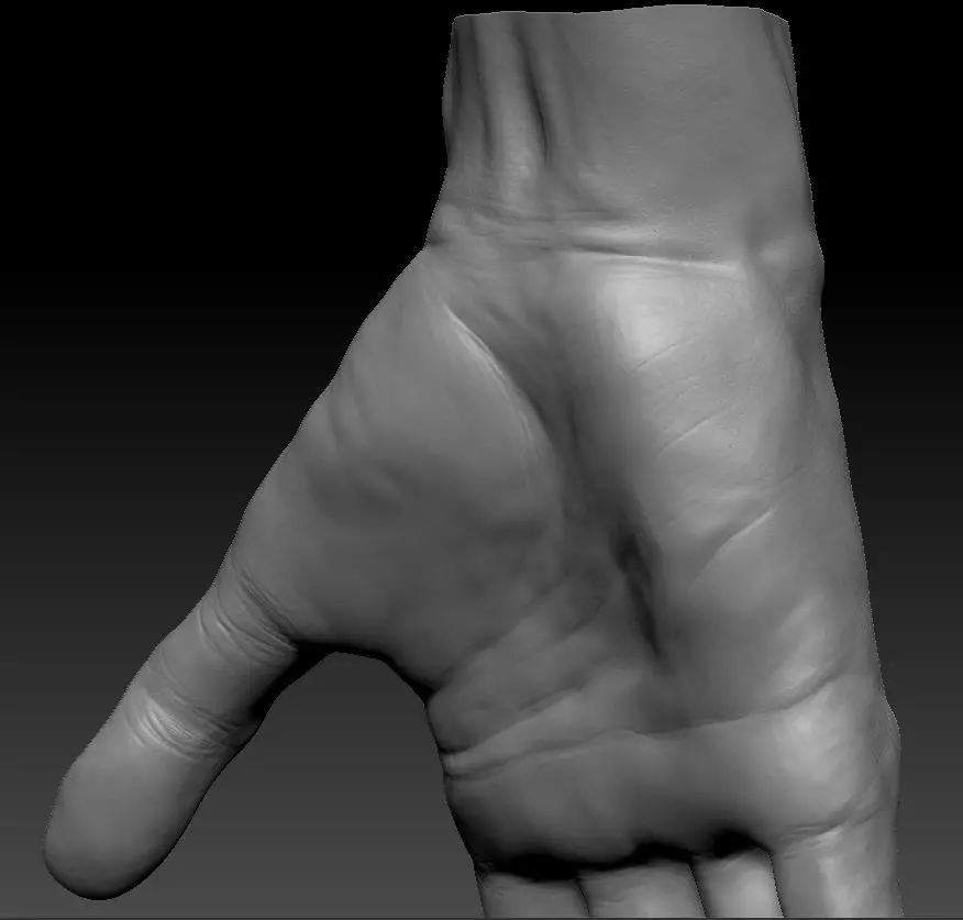 Very detailed Male hand sculpt with multiple subdivision levels 3D model_5