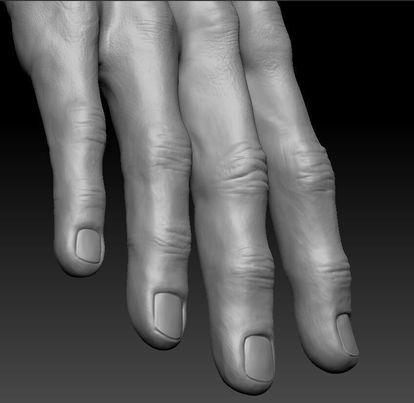 Very detailed Male hand sculpt with multiple subdivision levels 3D model_2