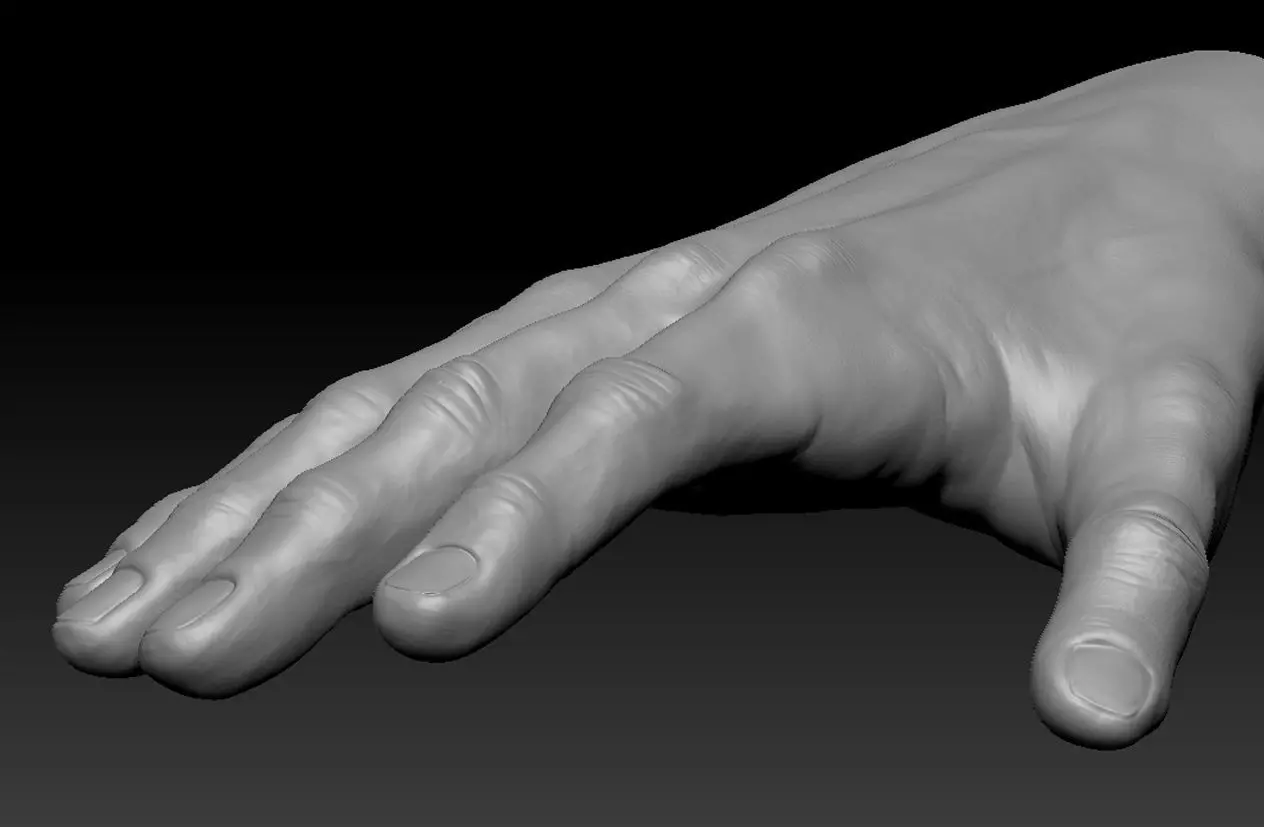 Very detailed Male hand sculpt with multiple subdivision levels 3D model_1