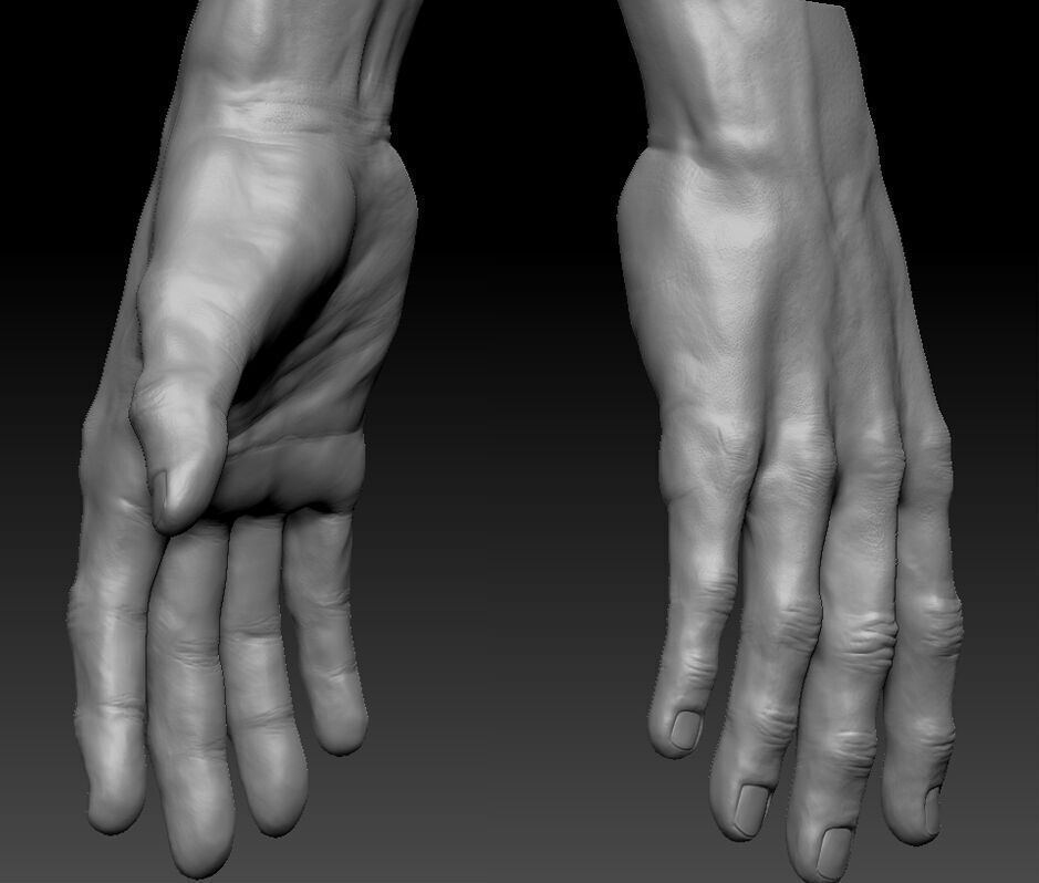 Very detailed Male hand sculpt with multiple subdivision levels 3D model_4