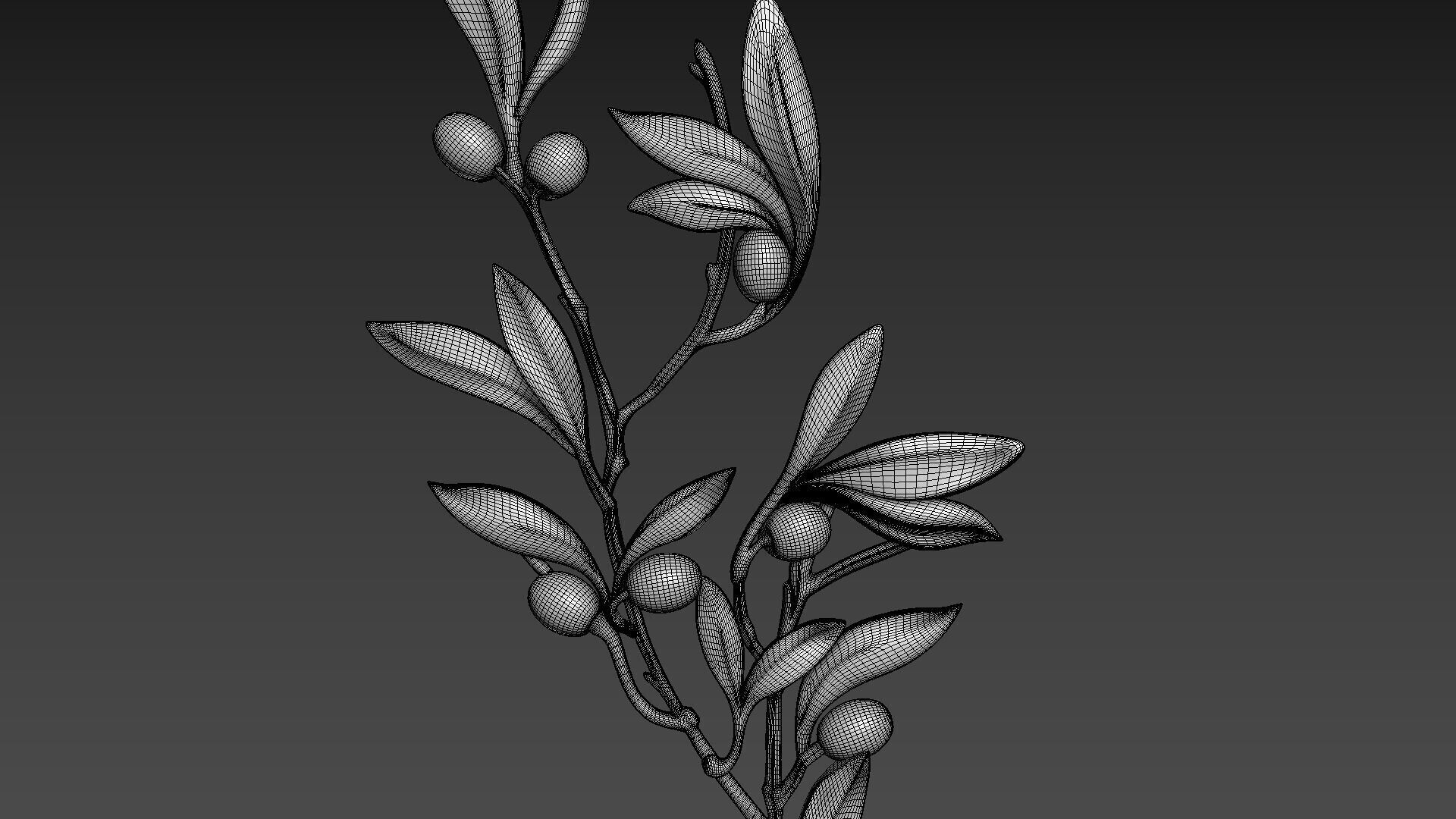 Olive Branch 3D model_4