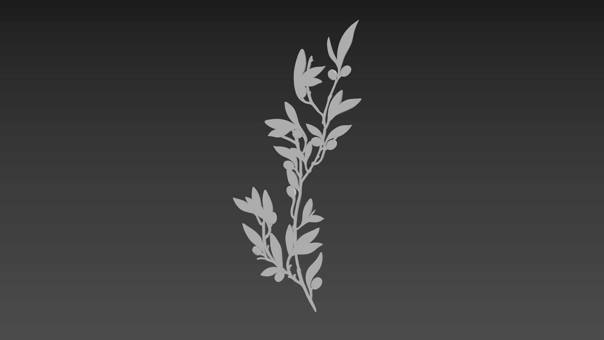 Olive Branch 3D model_8