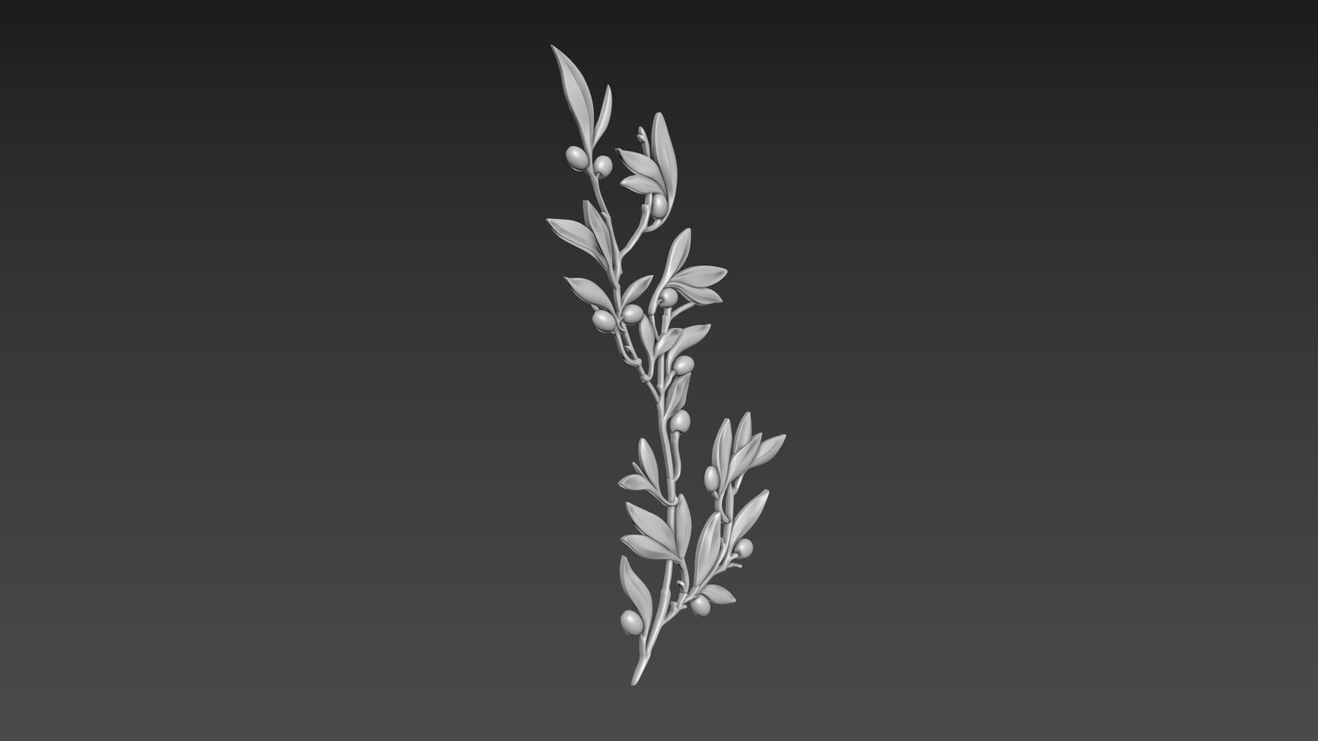 Olive Branch 3D model_5