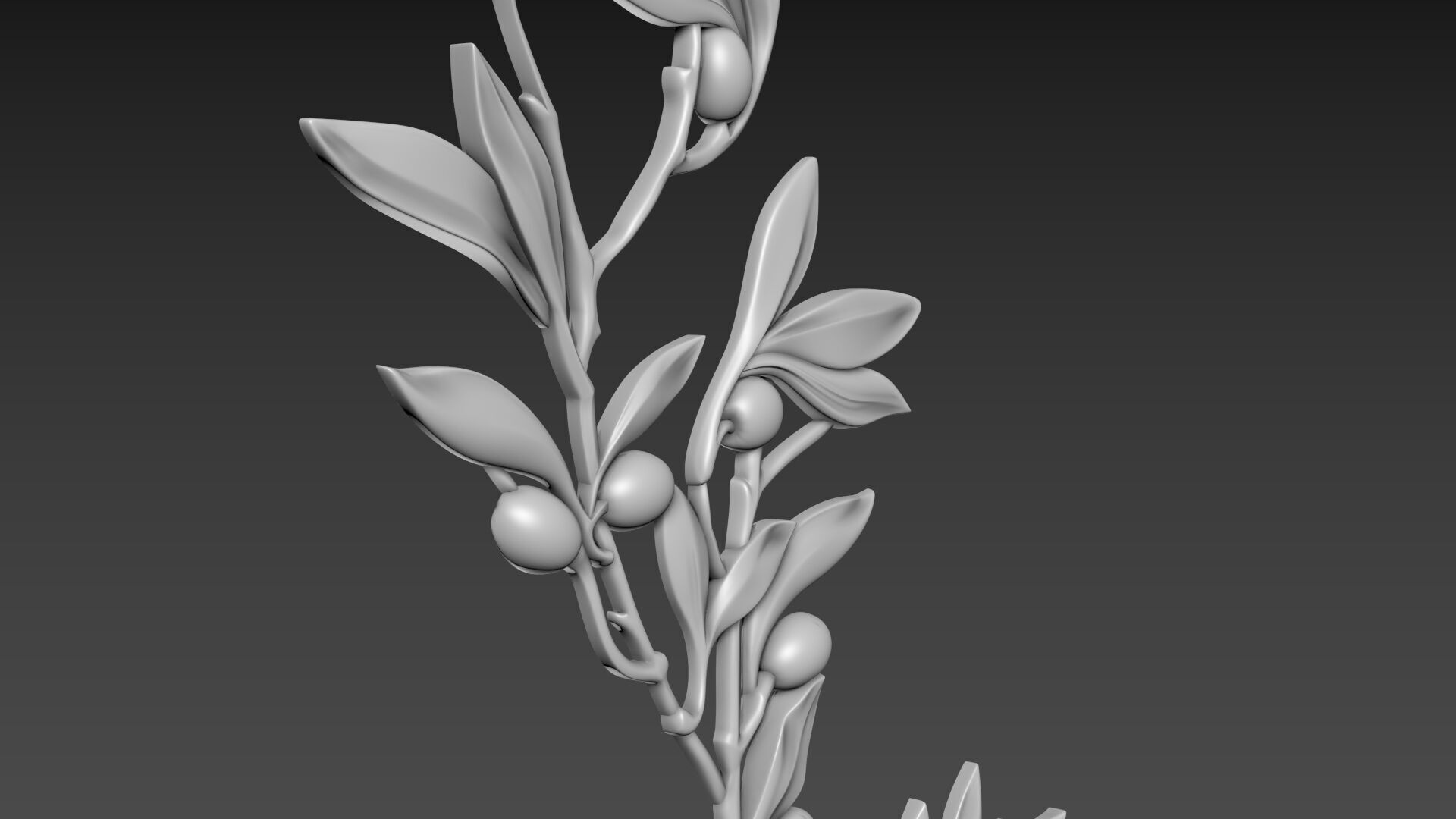 Olive Branch 3D model_12