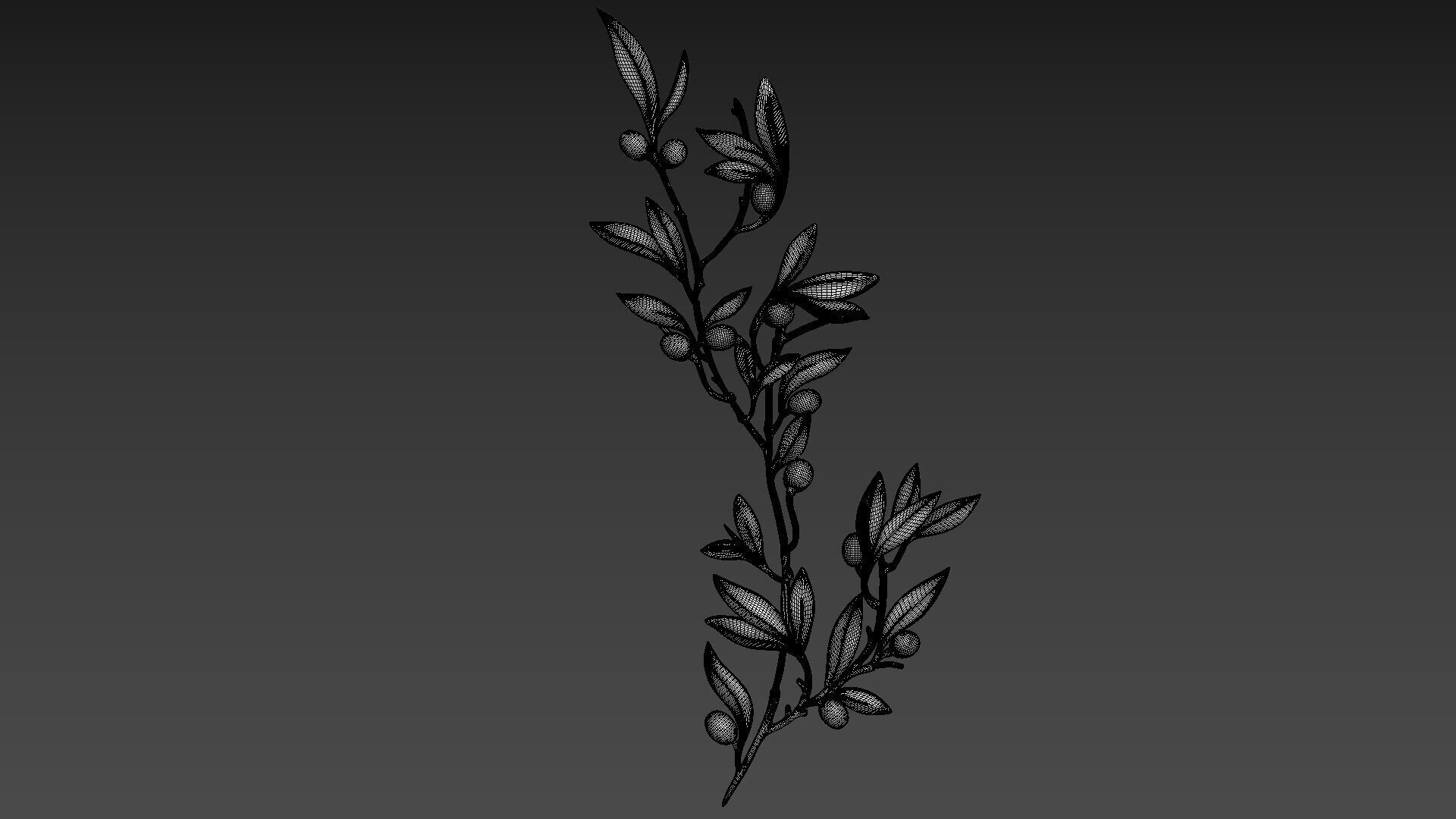 Olive Branch 3D model_3