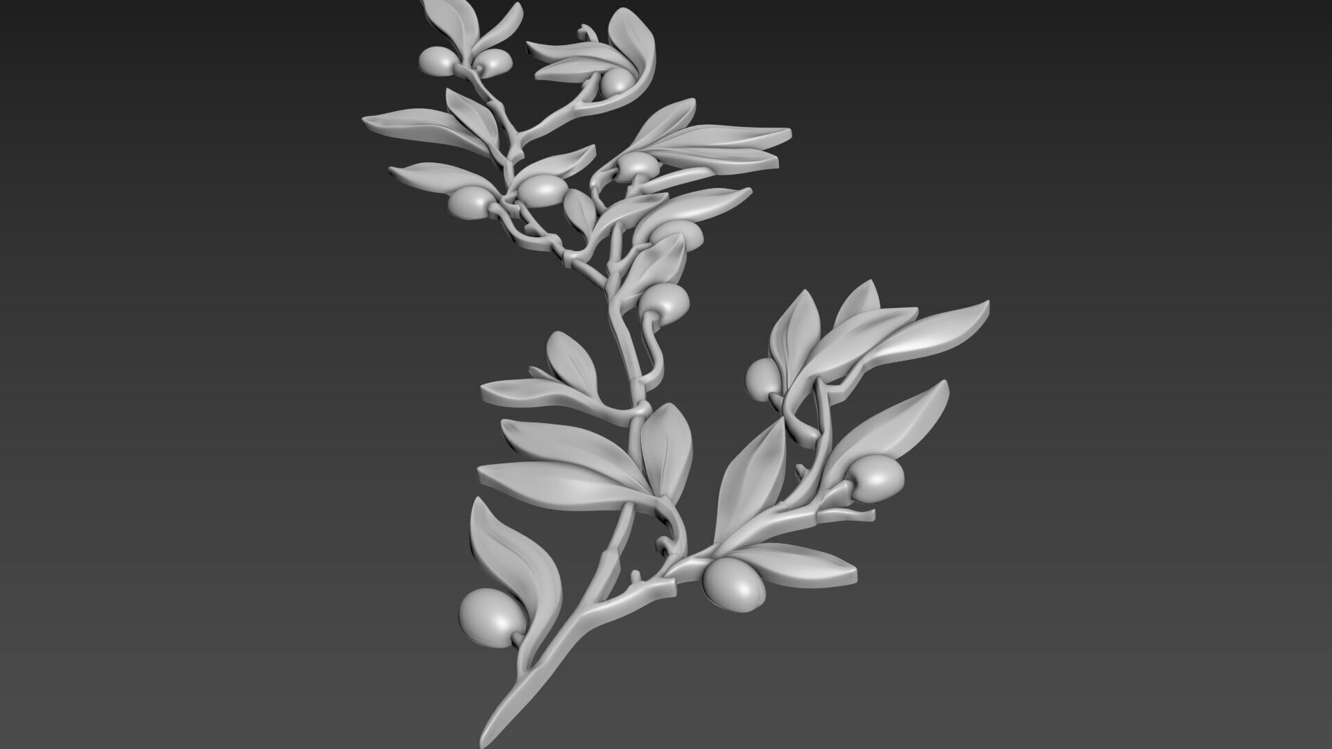 Olive Branch 3D model_10