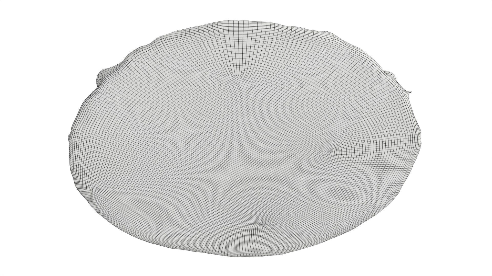 Pizza with tuna Low-poly 3D model_7