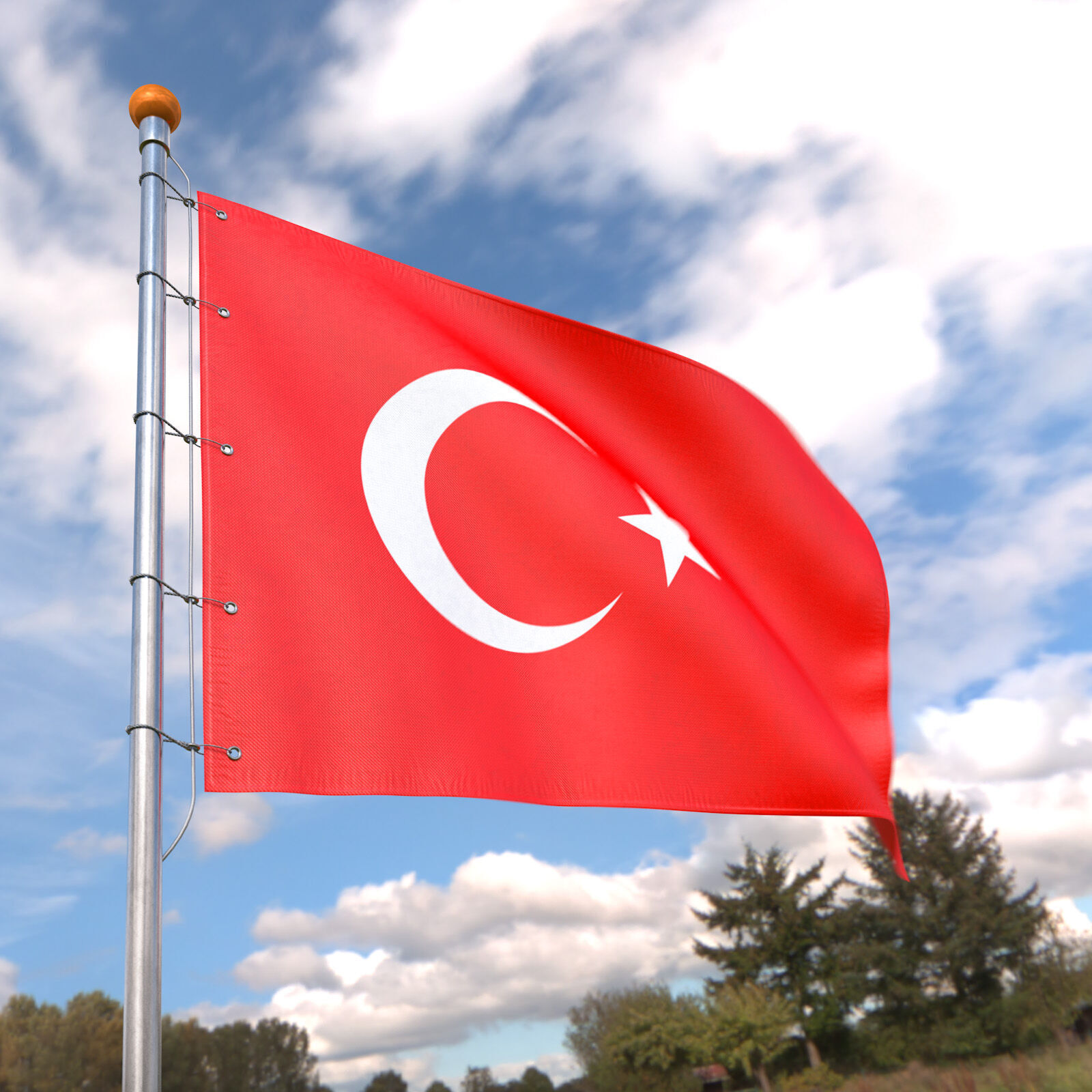 Flag Turkey animated loop 3D model_4
