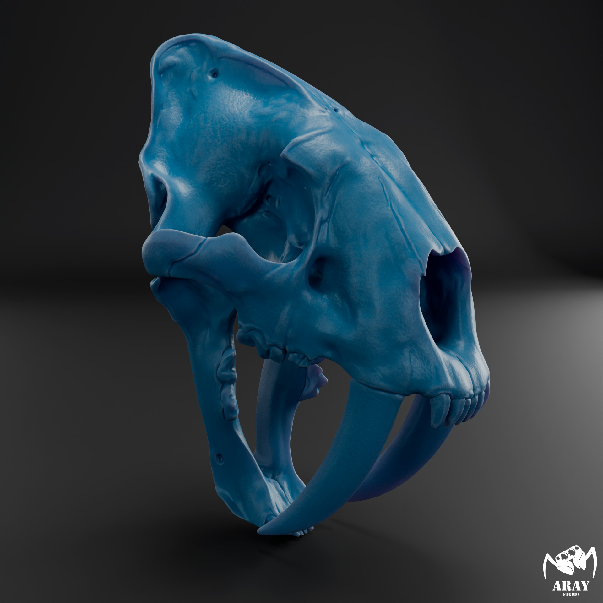 Smilodon populator -  sabertooth skull 3D print model_6