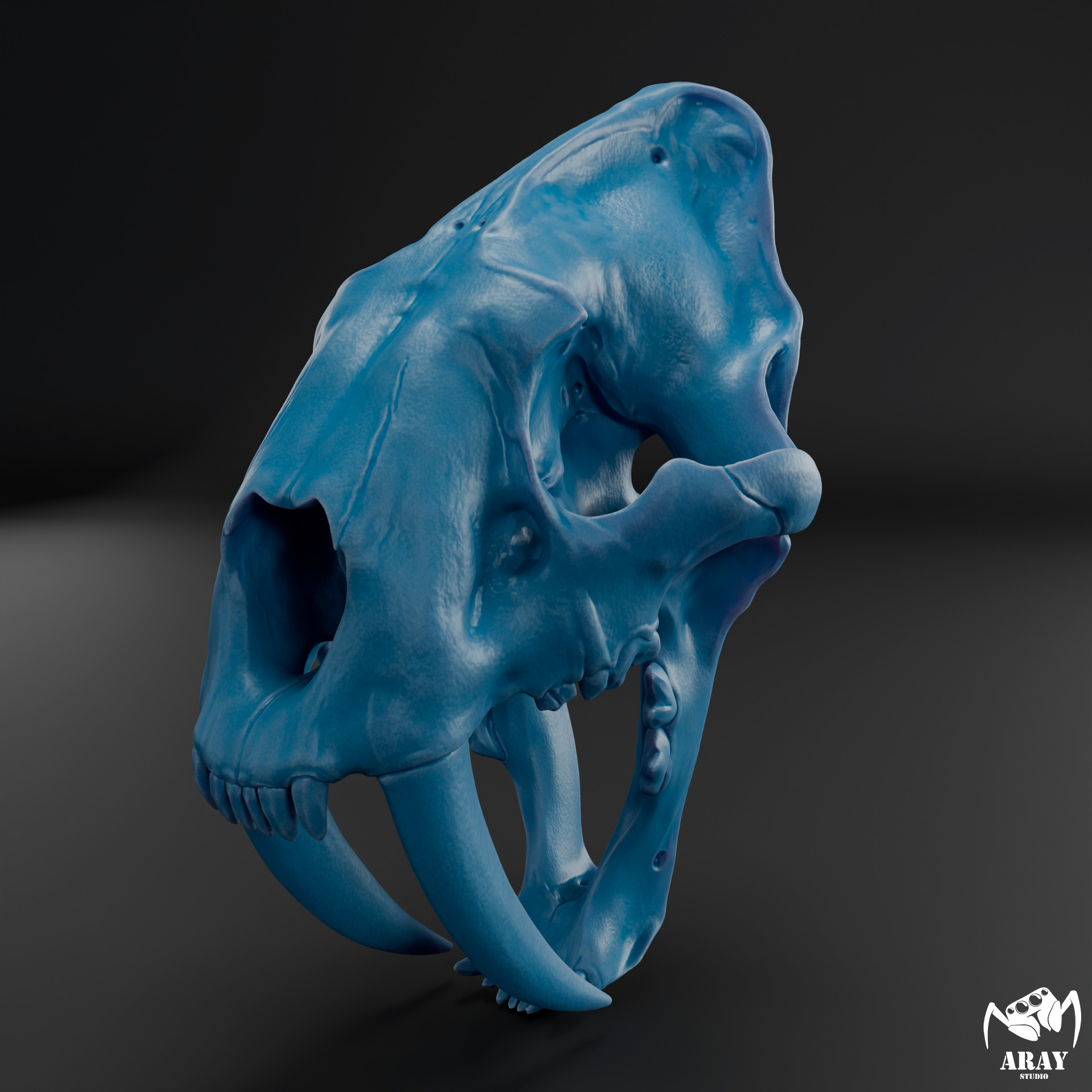 Smilodon populator -  sabertooth skull 3D print model_8