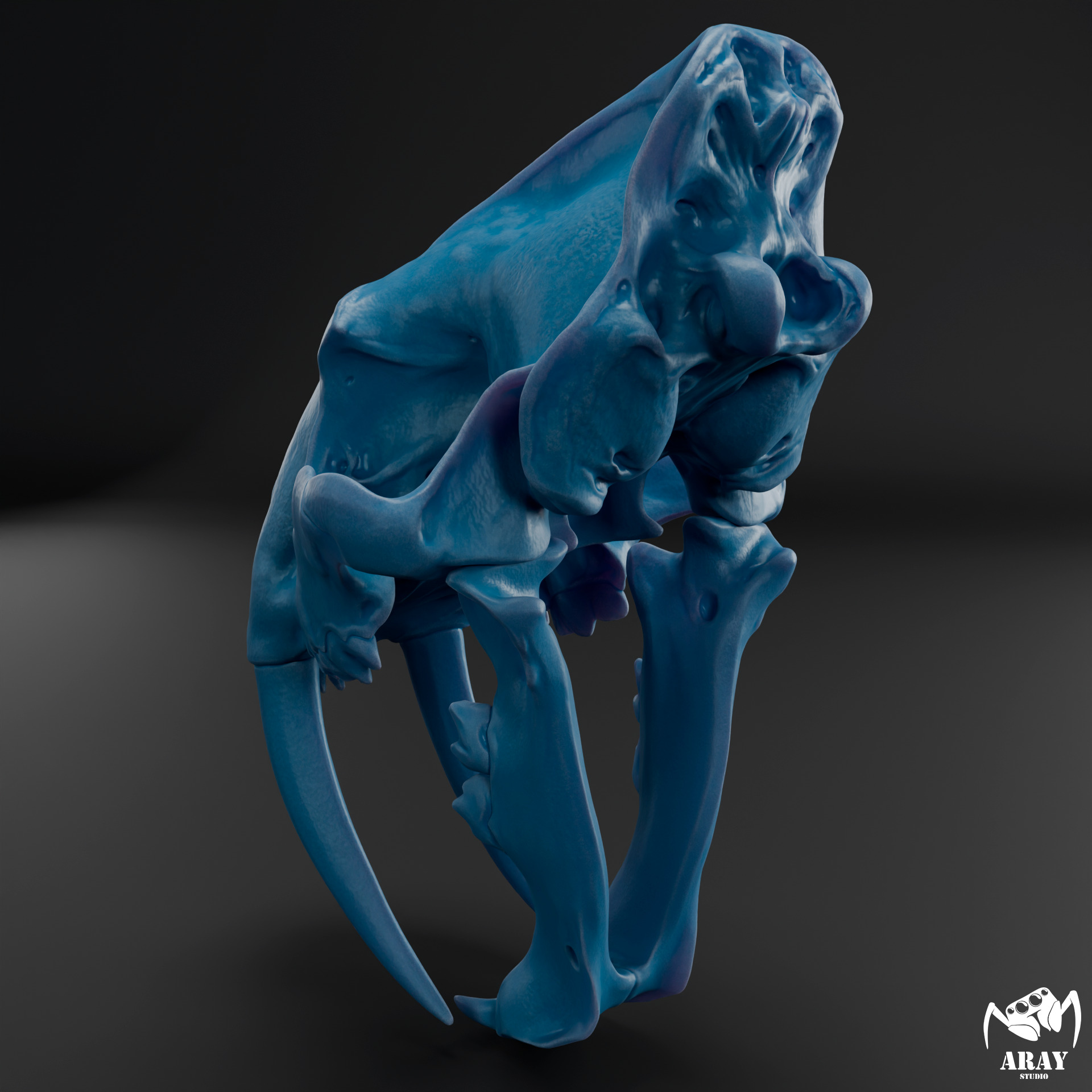 Smilodon populator -  sabertooth skull 3D print model_10