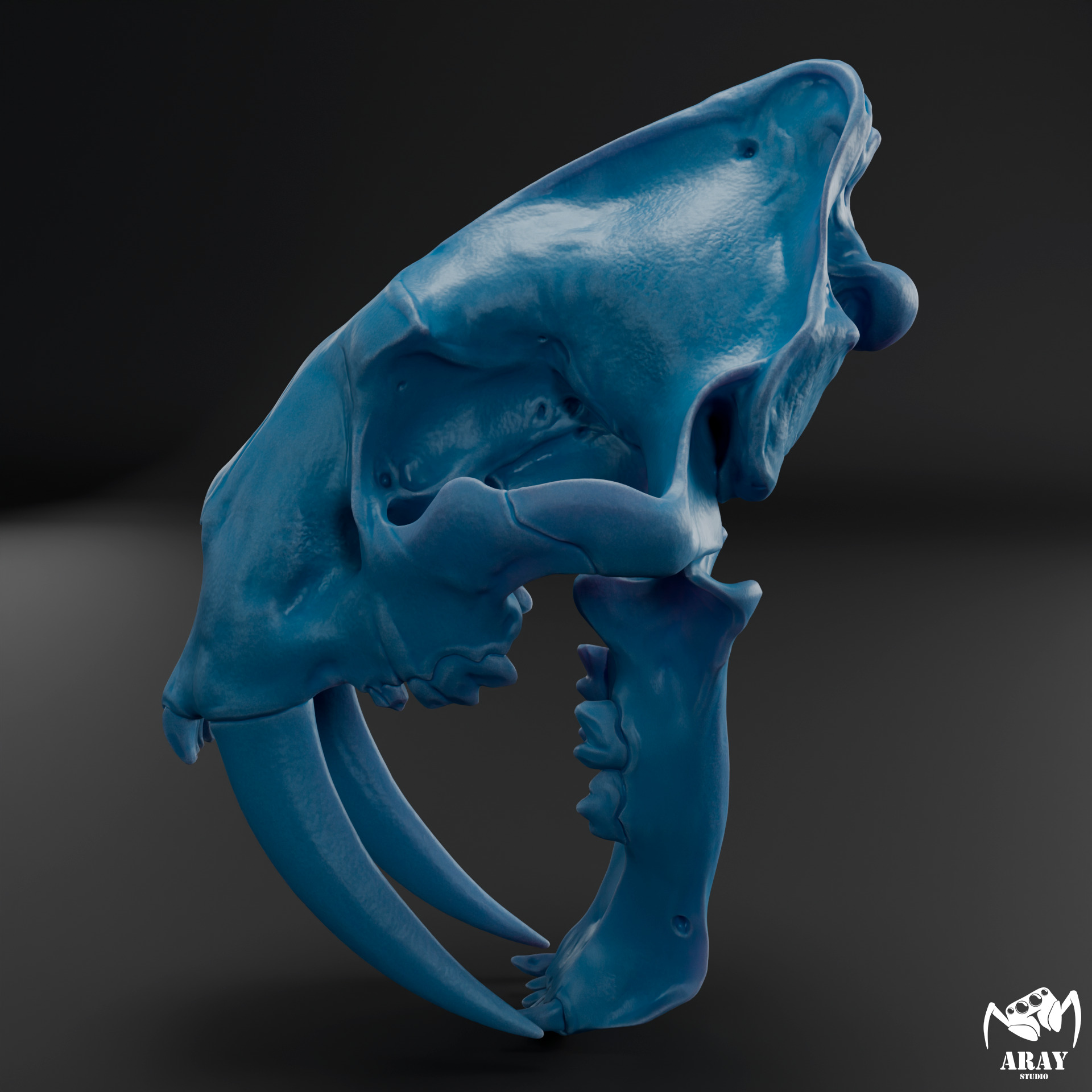 Smilodon populator -  sabertooth skull 3D print model_9