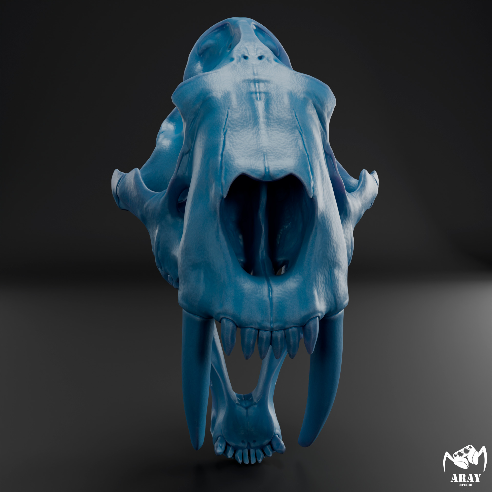 Smilodon populator -  sabertooth skull 3D print model_7